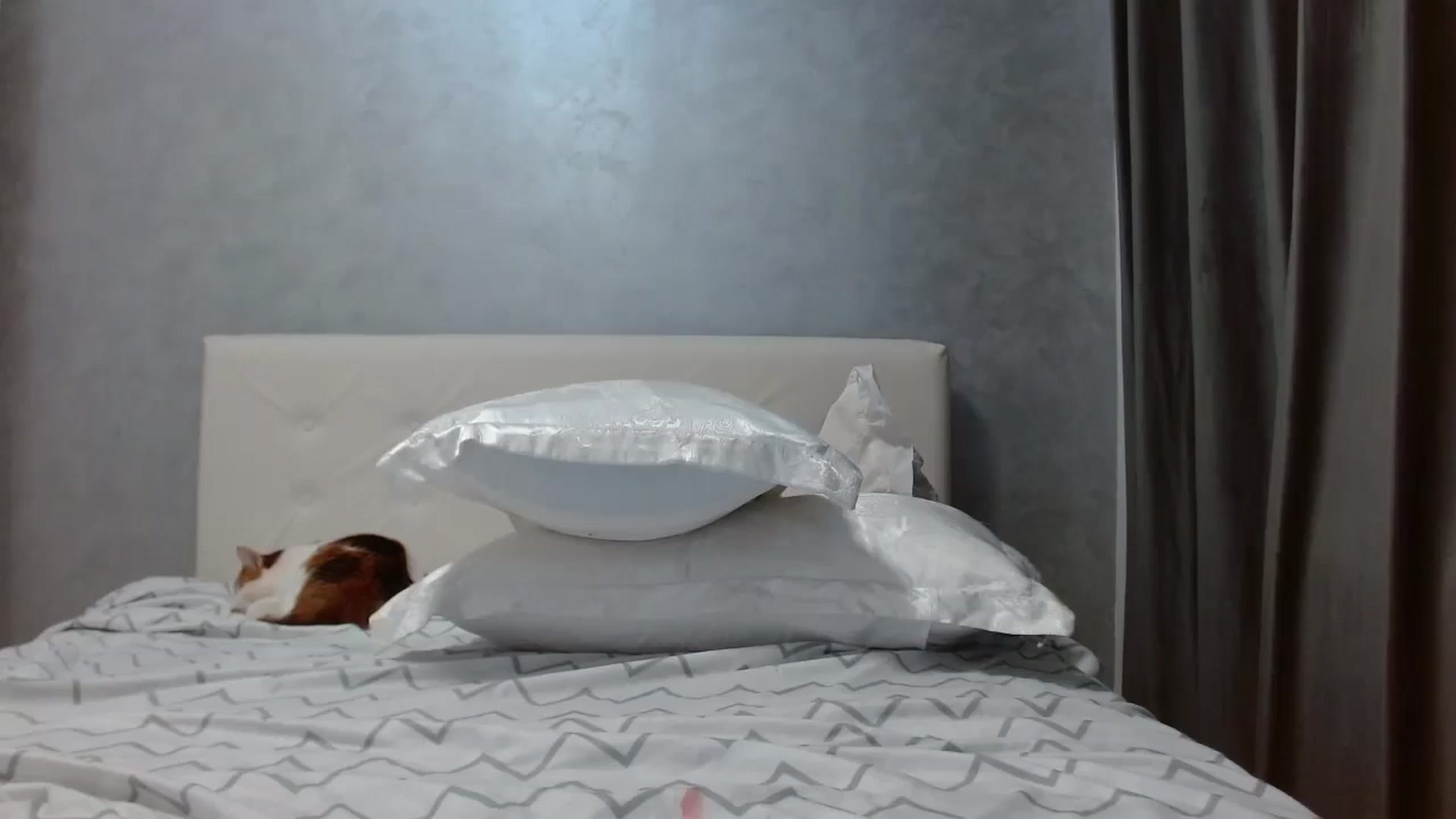 Gallery image thumbnail from Aahh_Emilia's myfreecams stream on, 10/16/2025, 17:49 image 20 of 20