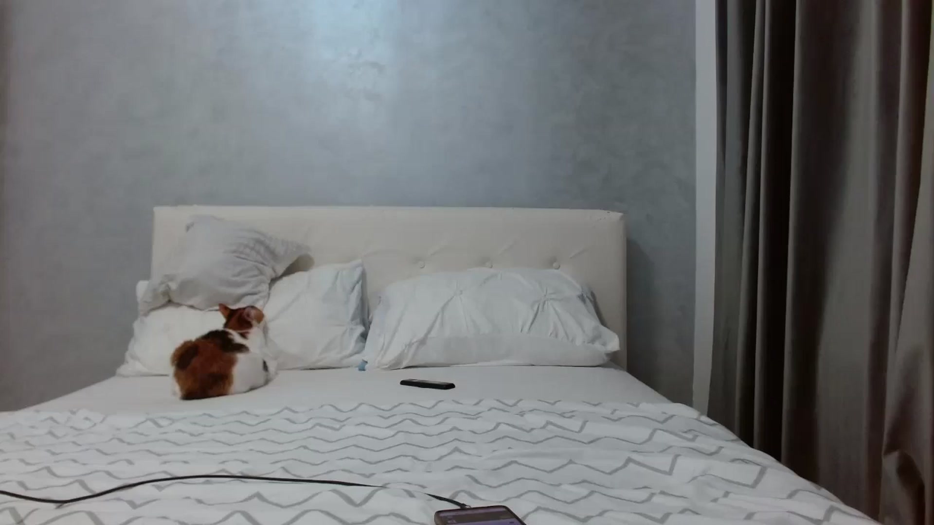 Gallery image thumbnail from Aahh_Emilia's myfreecams stream on, 10/30/2025, 17:02 image 17 of 20