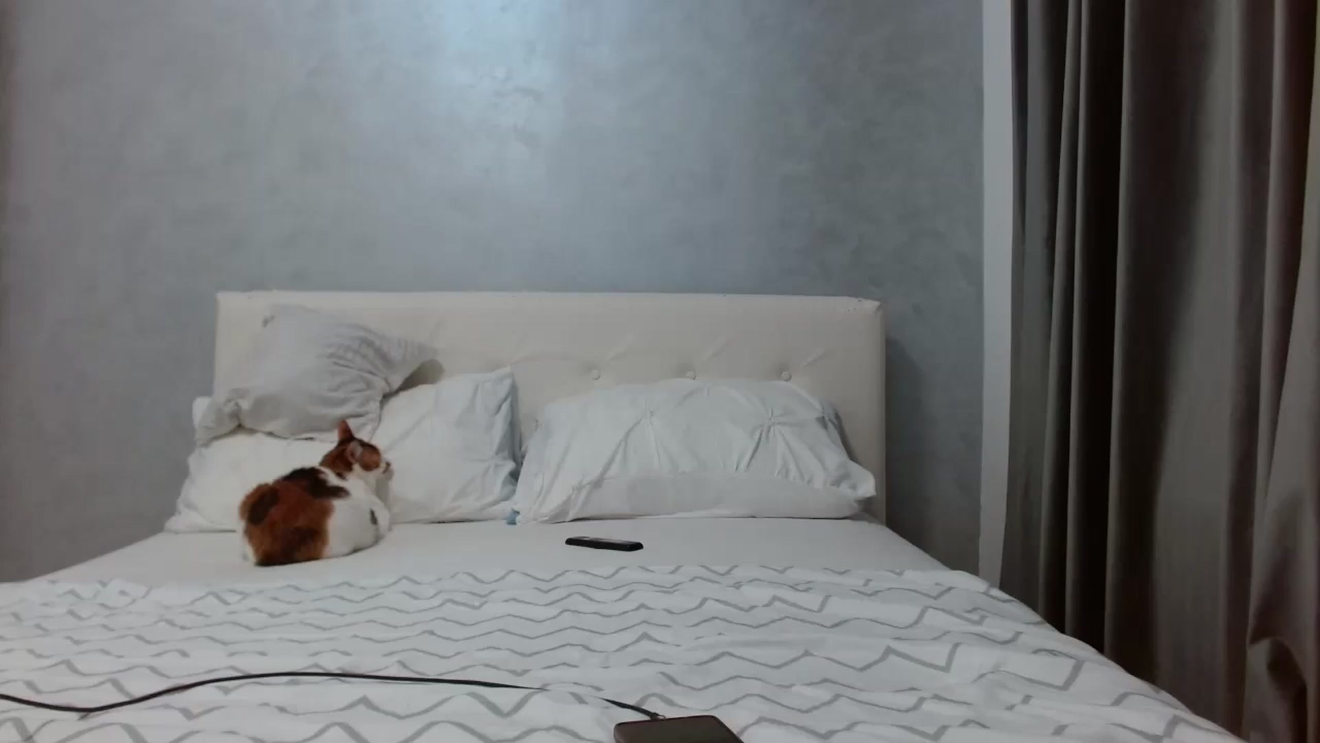 Gallery image thumbnail from Aahh_Emilia's myfreecams stream on, 10/30/2025, 17:02 image 18 of 20