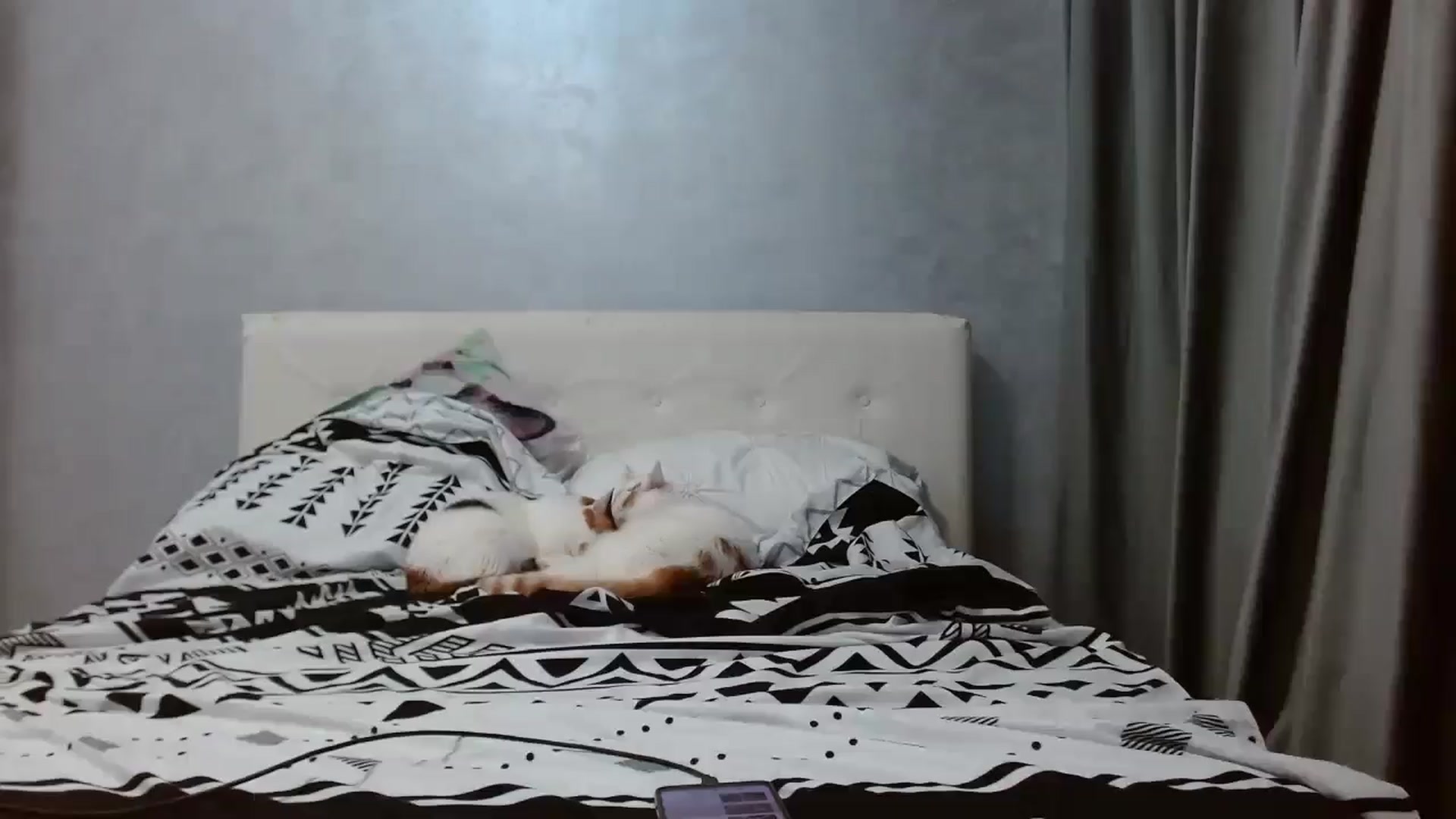 Gallery image thumbnail from Aahh_Emilia's myfreecams stream on, 11/19/2025, 17:51 image 11 of 20