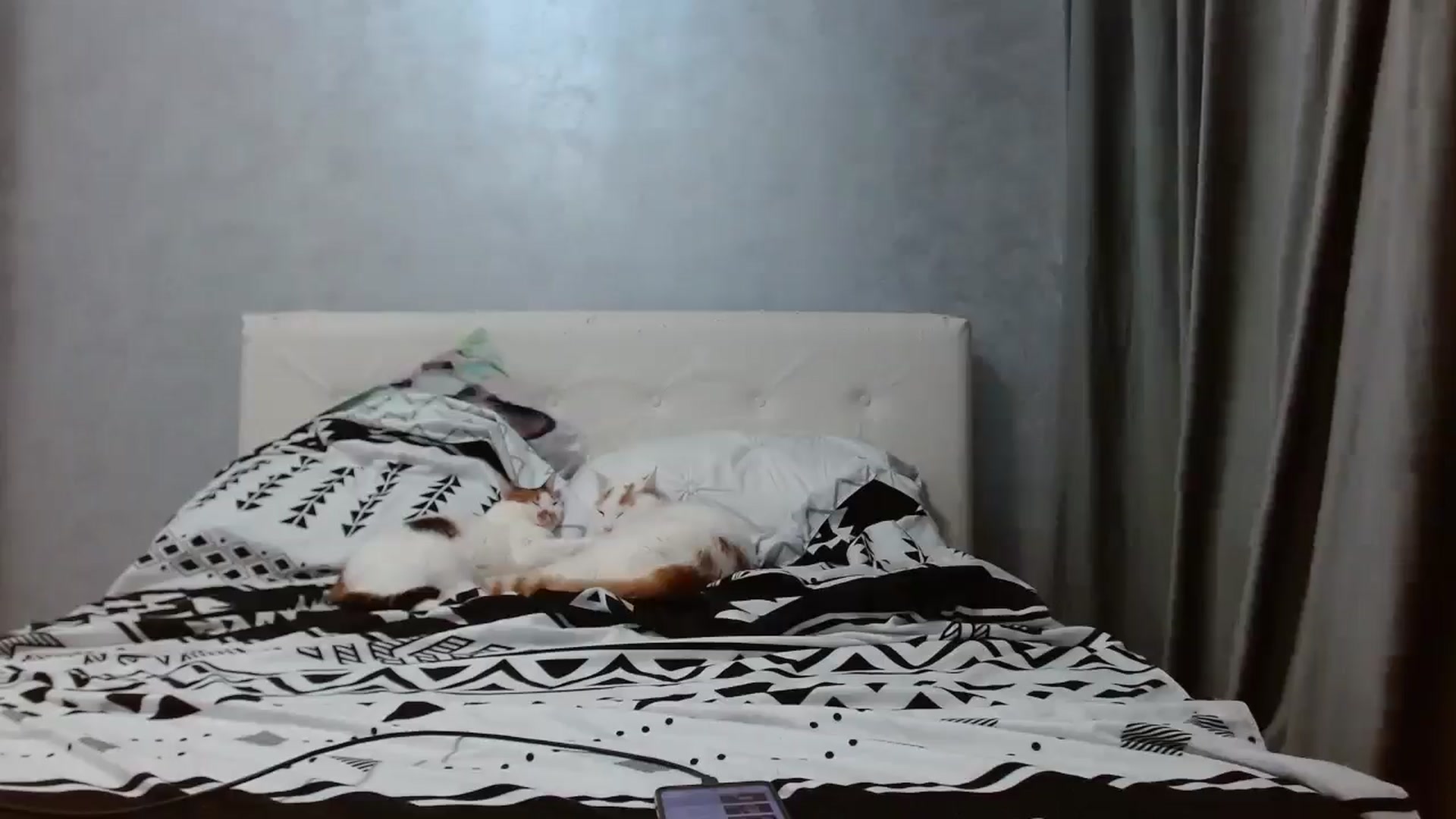 Gallery image thumbnail from Aahh_Emilia's myfreecams stream on, 11/19/2025, 17:51 image 10 of 20