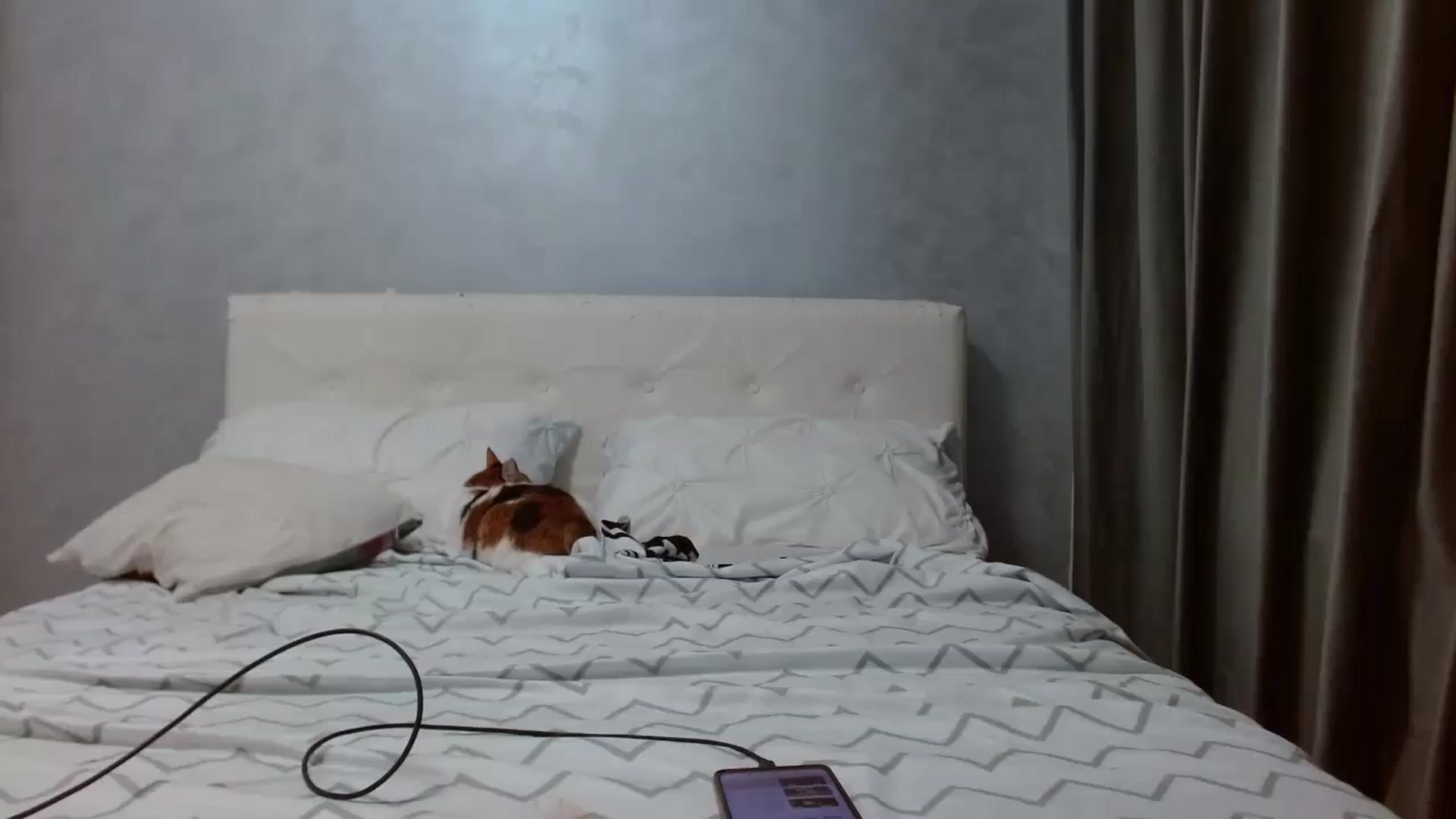 Gallery image thumbnail from Aahh_Emilia's myfreecams stream on, 11/25/2025, 17:37 image 1 of 20