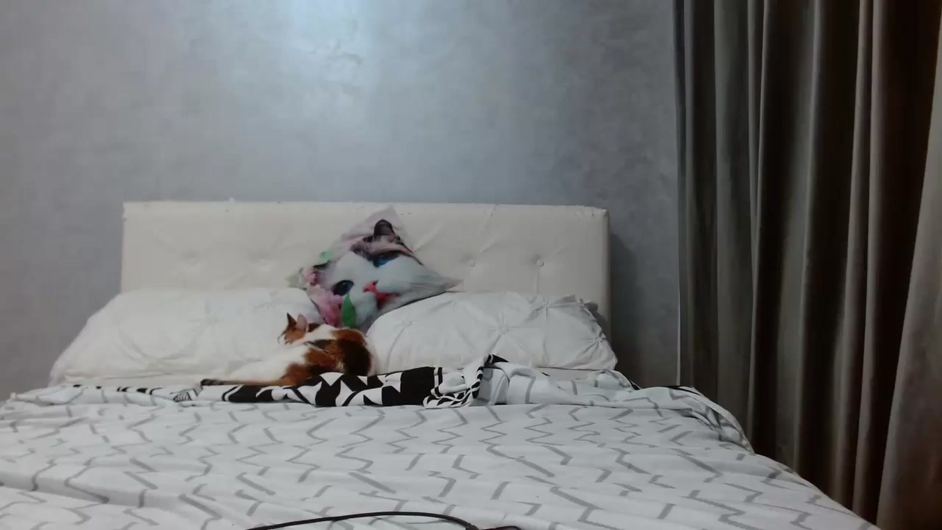 Gallery image thumbnail from Aahh_Emilia's myfreecams stream on, 11/26/2025, 17:57 image 7 of 20