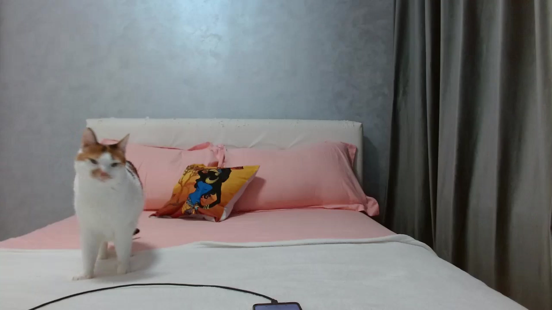 Gallery image thumbnail from Aahh_Emilia's myfreecams stream on, 11/29/2025, 17:34 image 14 of 20