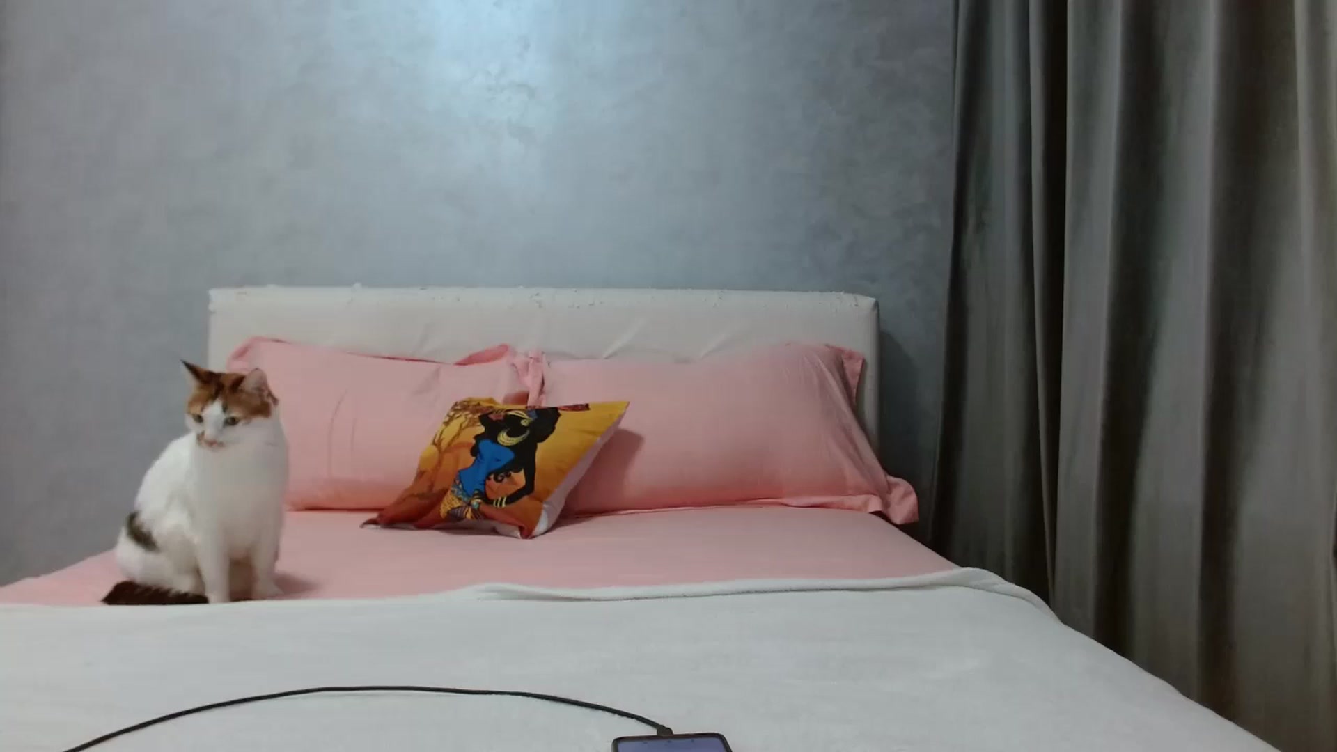 Gallery image thumbnail from Aahh_Emilia's myfreecams stream on, 11/29/2025, 17:34 image 13 of 20