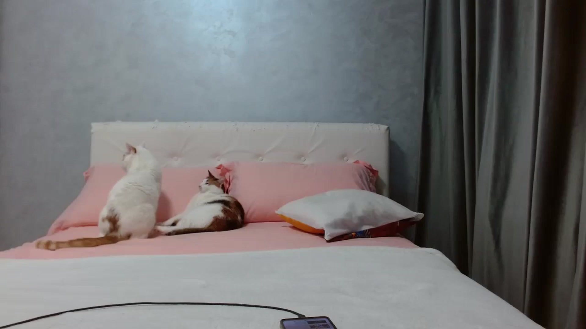 Gallery image thumbnail from Aahh_Emilia's myfreecams stream on, 11/30/2025, 17:40 image 20 of 20