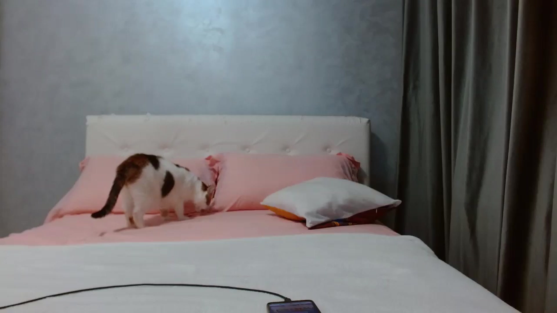 Gallery image thumbnail from Aahh_Emilia's myfreecams stream on, 11/30/2025, 17:40 image 12 of 20