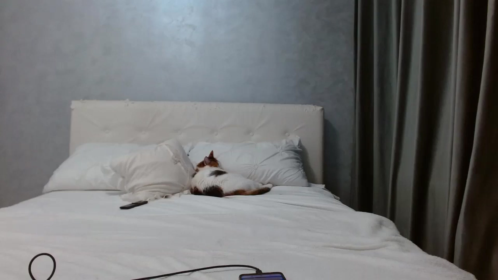 Gallery image thumbnail from Aahh_Emilia's myfreecams stream on, 12/13/2025, 17:58 image 17 of 20
