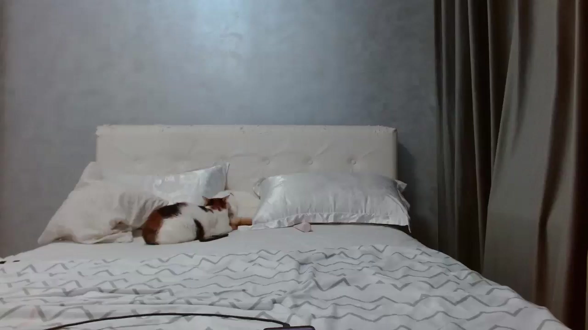 Gallery image thumbnail from Aahh_Emilia's myfreecams stream on, 12/19/2025, 17:33 image 14 of 20