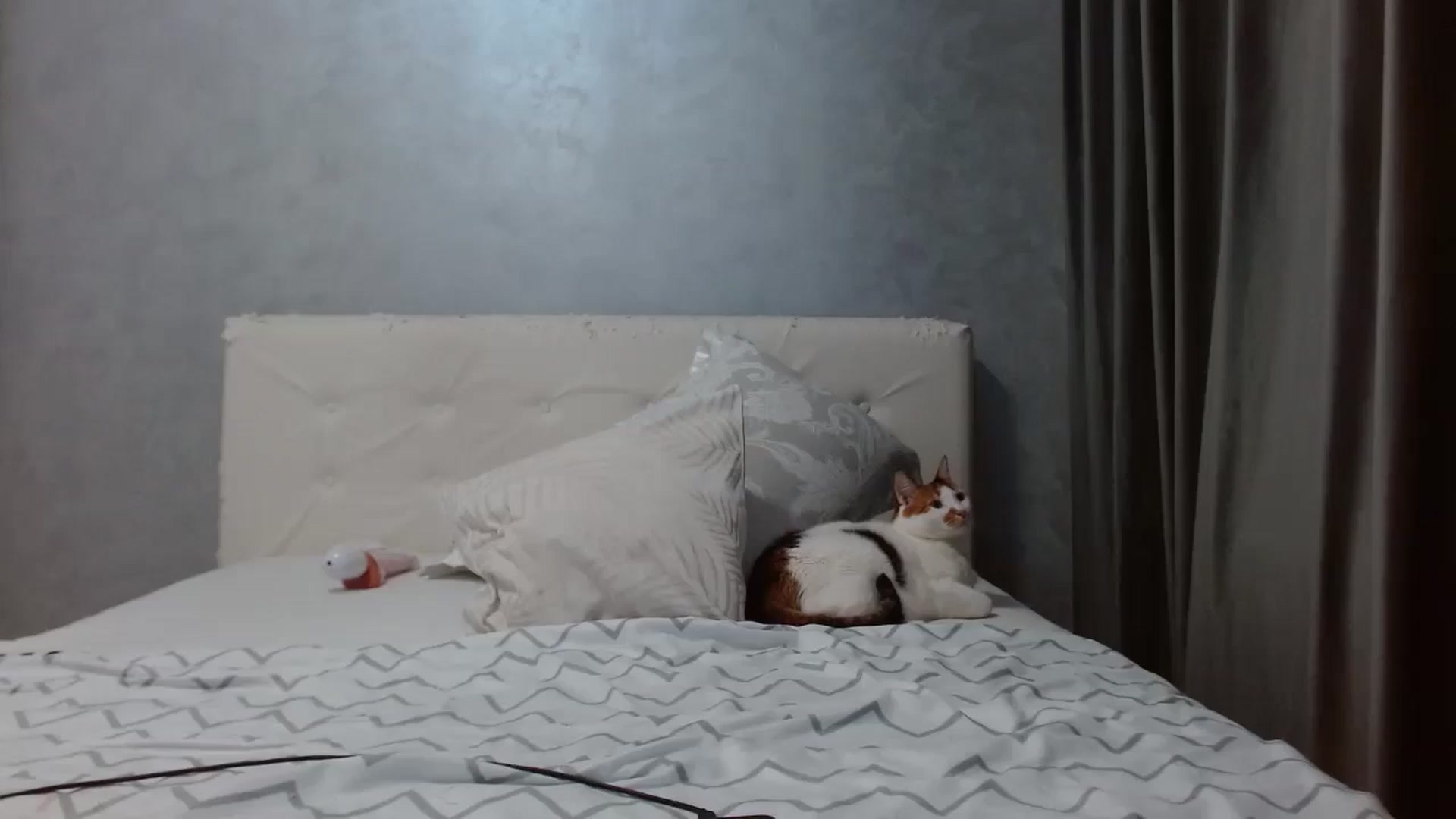 Gallery image thumbnail from Aahh_Emilia's myfreecams stream on, 12/19/2025, 19:02 image 12 of 20