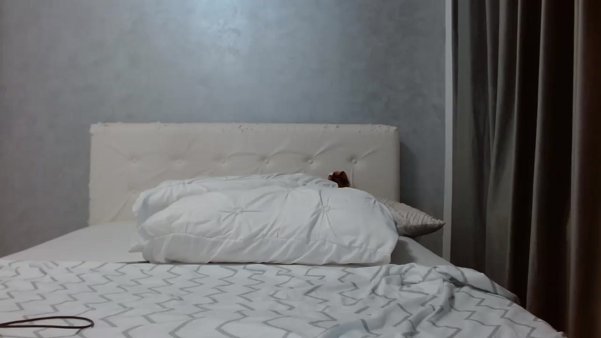 Gallery image thumbnail from Aahh_Emilia's myfreecams stream on, 12/27/2025, 18:50 image 19 of 20