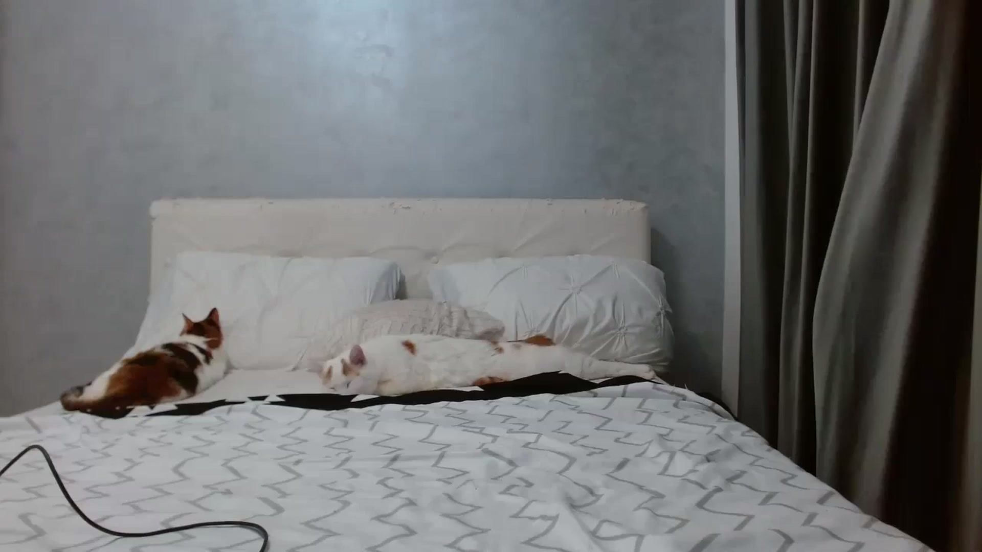 Gallery image thumbnail from Aahh_Emilia's myfreecams stream on, 12/31/2025, 17:33 image 14 of 20