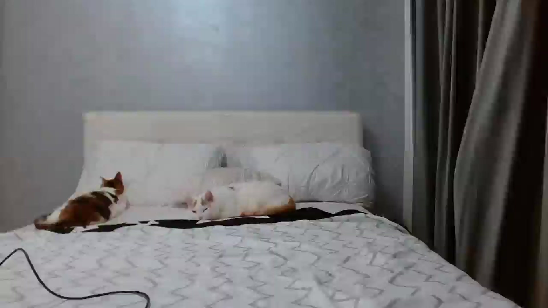 Gallery image thumbnail from Aahh_Emilia's myfreecams stream on, 12/31/2025, 17:33 image 13 of 20