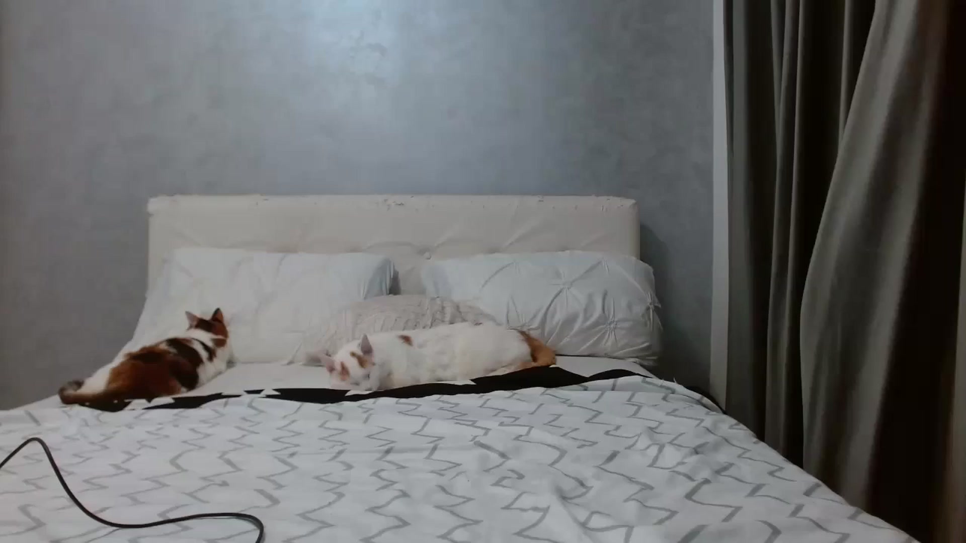 Gallery image thumbnail from Aahh_Emilia's myfreecams stream on, 12/31/2025, 17:33 image 20 of 20