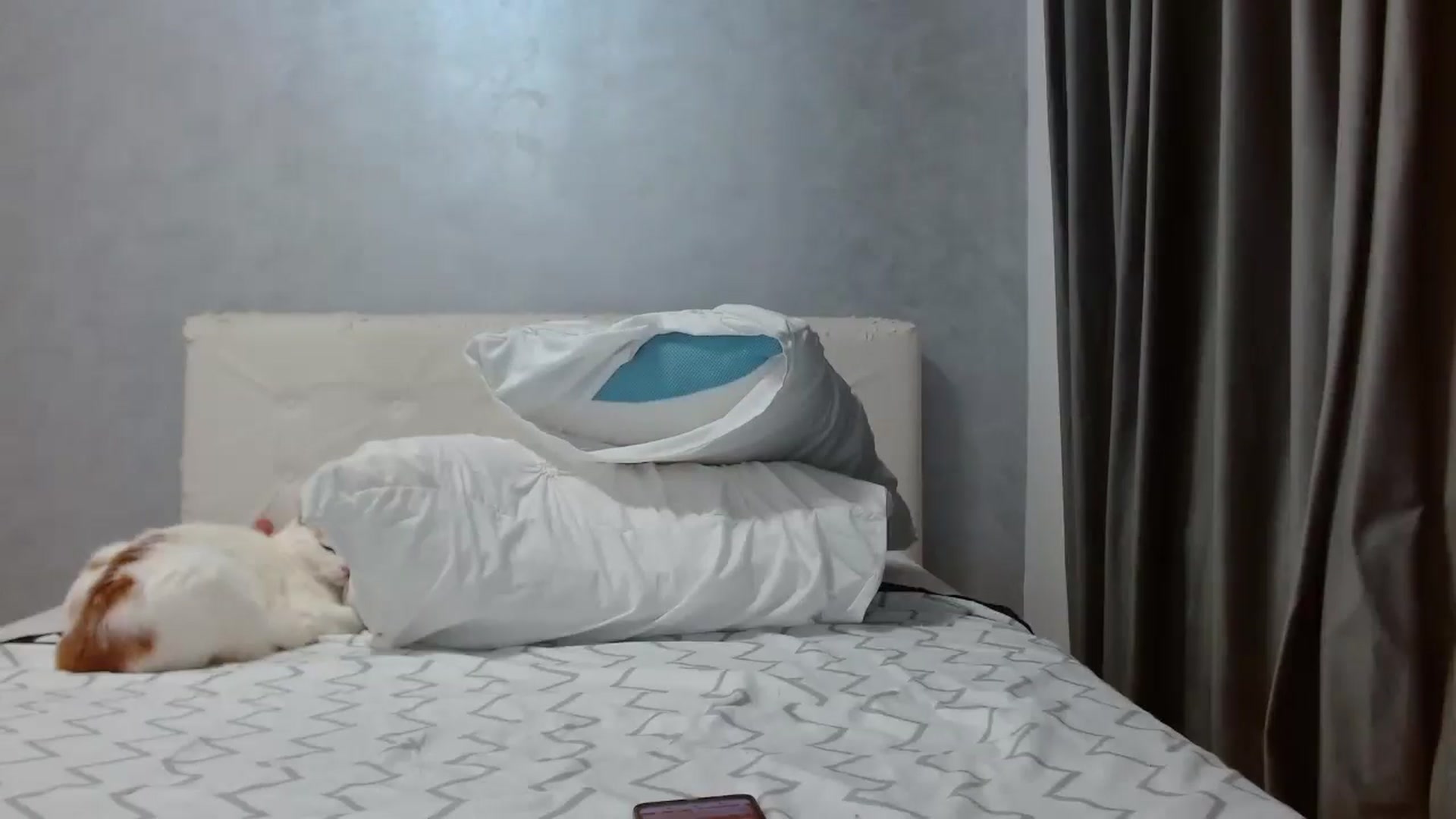 Gallery image thumbnail from Aahh_Emilia's myfreecams stream on, 12/31/2025, 19:01 image 14 of 20