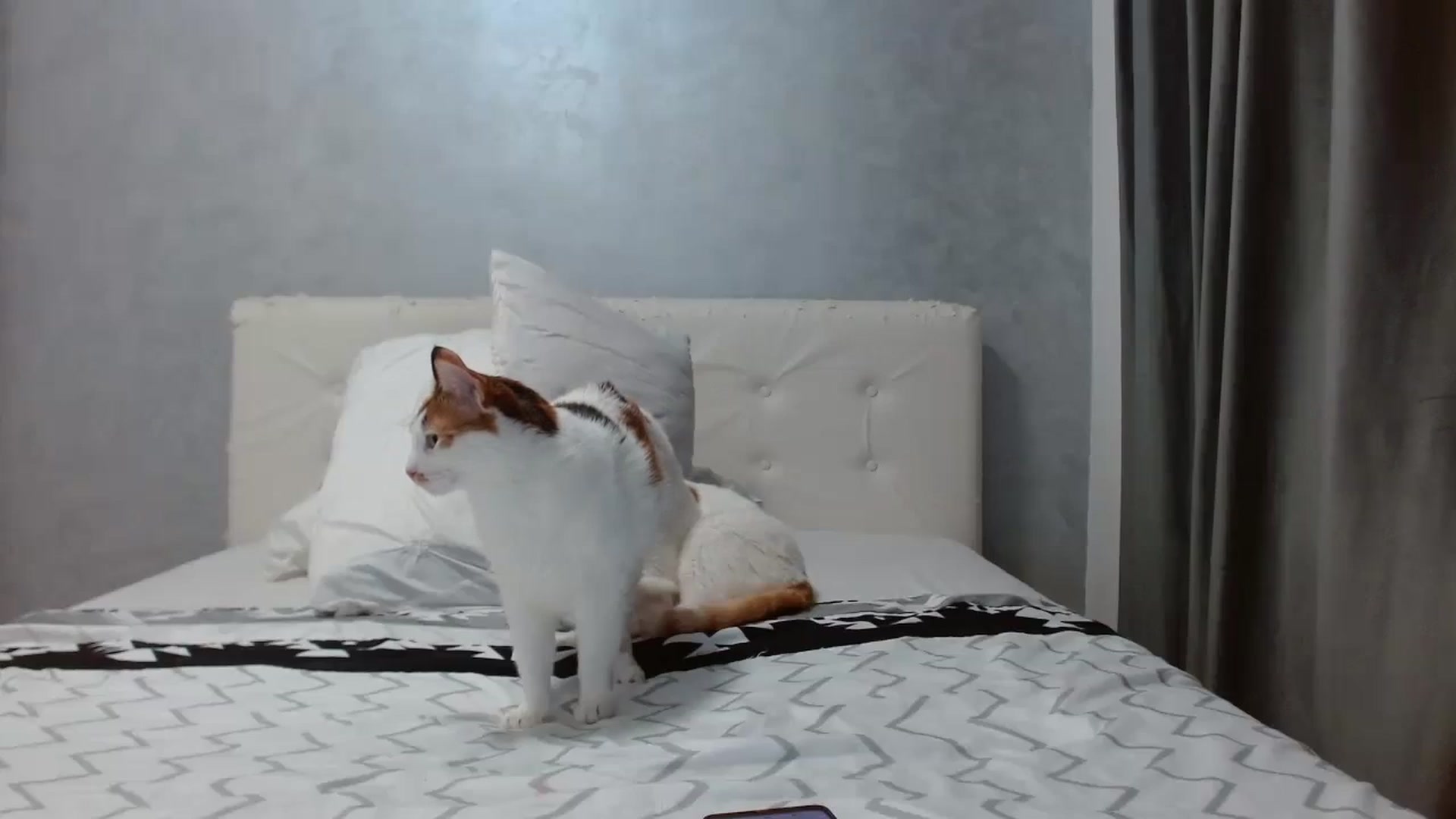 Gallery image thumbnail from Aahh_Emilia's myfreecams stream on, 01/03/2026, 19:02 image 8 of 20