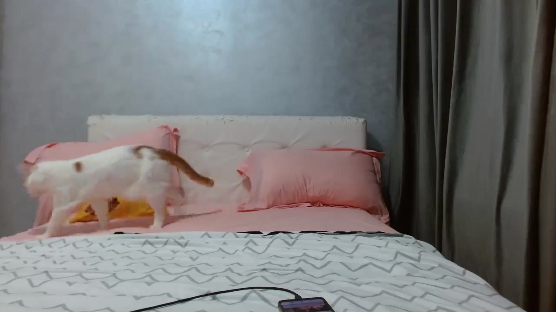 Gallery image thumbnail from Aahh_Emilia's myfreecams stream on, 01/04/2026, 17:26 image 15 of 20