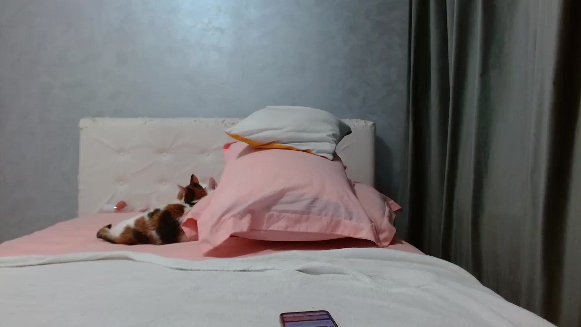 Gallery image thumbnail from Aahh_Emilia's myfreecams stream on, 01/05/2026, 19:02 image 15 of 20
