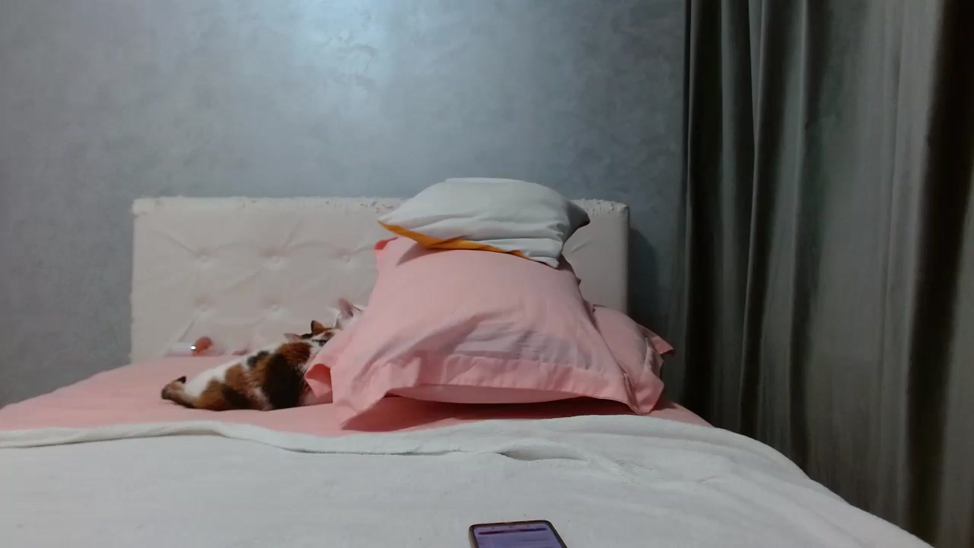 Gallery image thumbnail from Aahh_Emilia's myfreecams stream on, 01/05/2026, 19:02 image 18 of 20