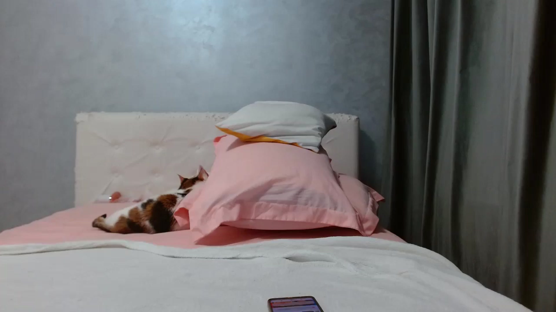 Gallery image thumbnail from Aahh_Emilia's myfreecams stream on, 01/05/2026, 19:02 image 16 of 20