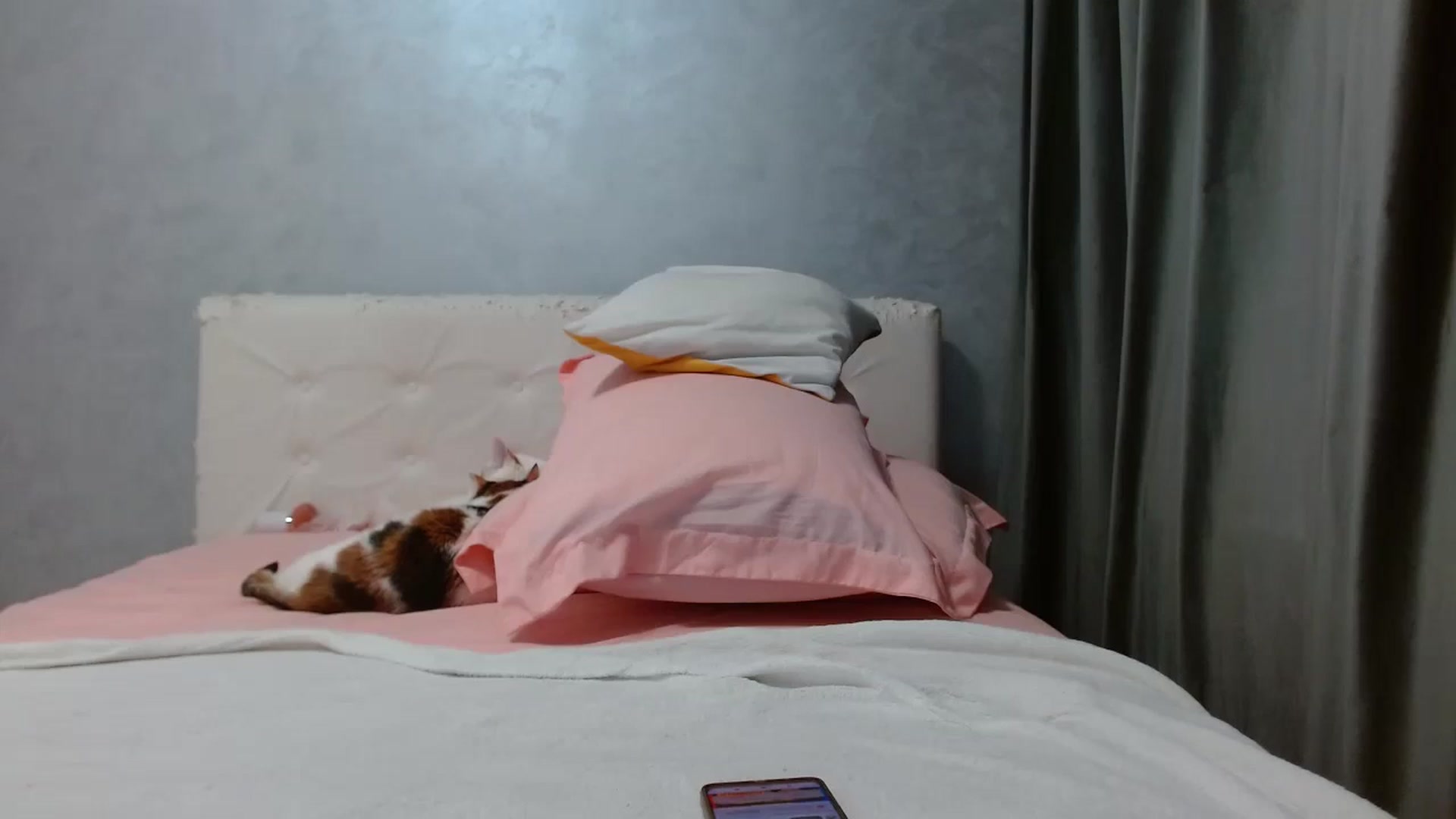 Gallery image thumbnail from Aahh_Emilia's myfreecams stream on, 01/05/2026, 19:02 image 17 of 20