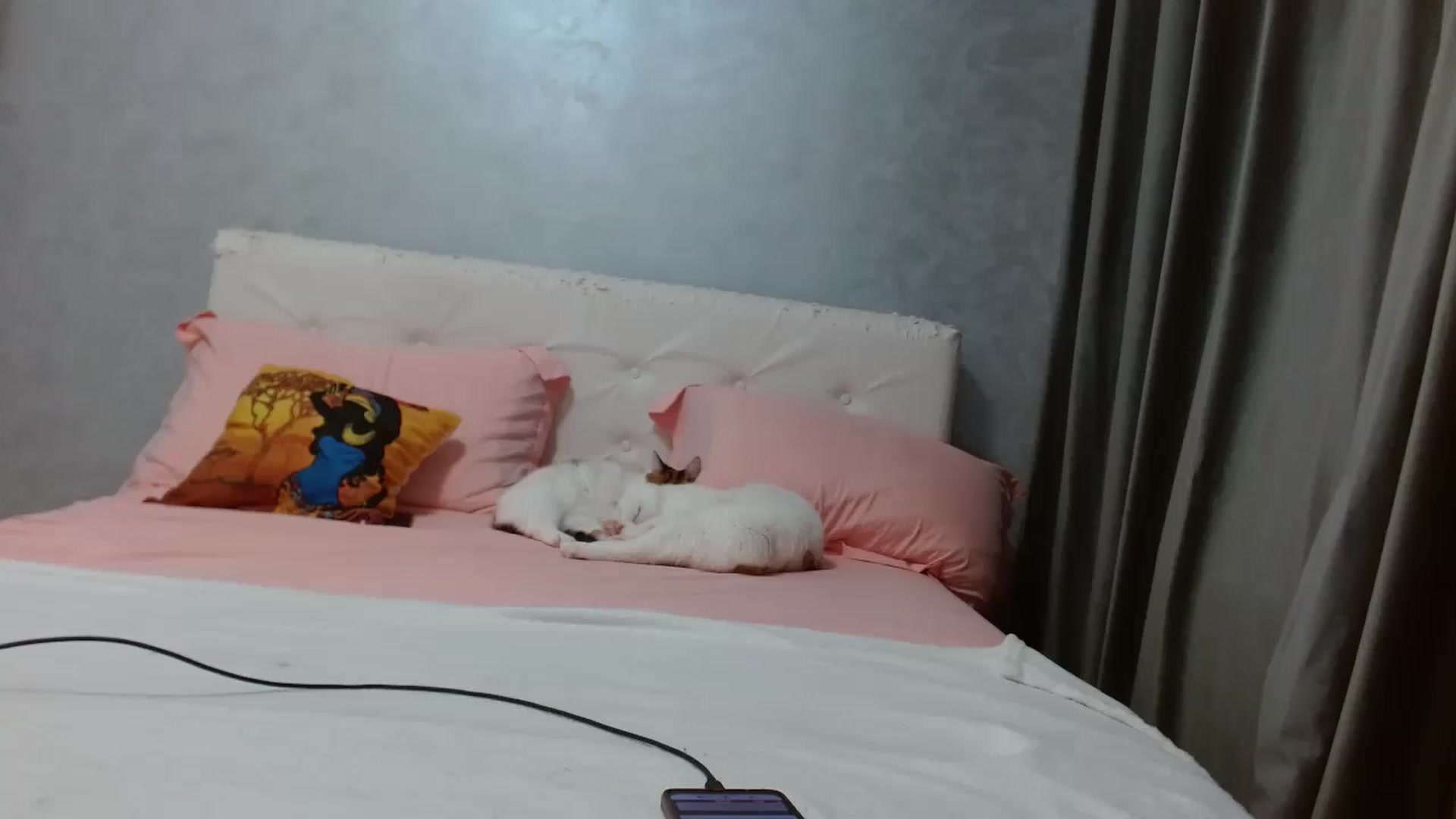 Gallery image thumbnail from Aahh_Emilia's myfreecams stream on, 01/08/2026, 17:40 image 18 of 20