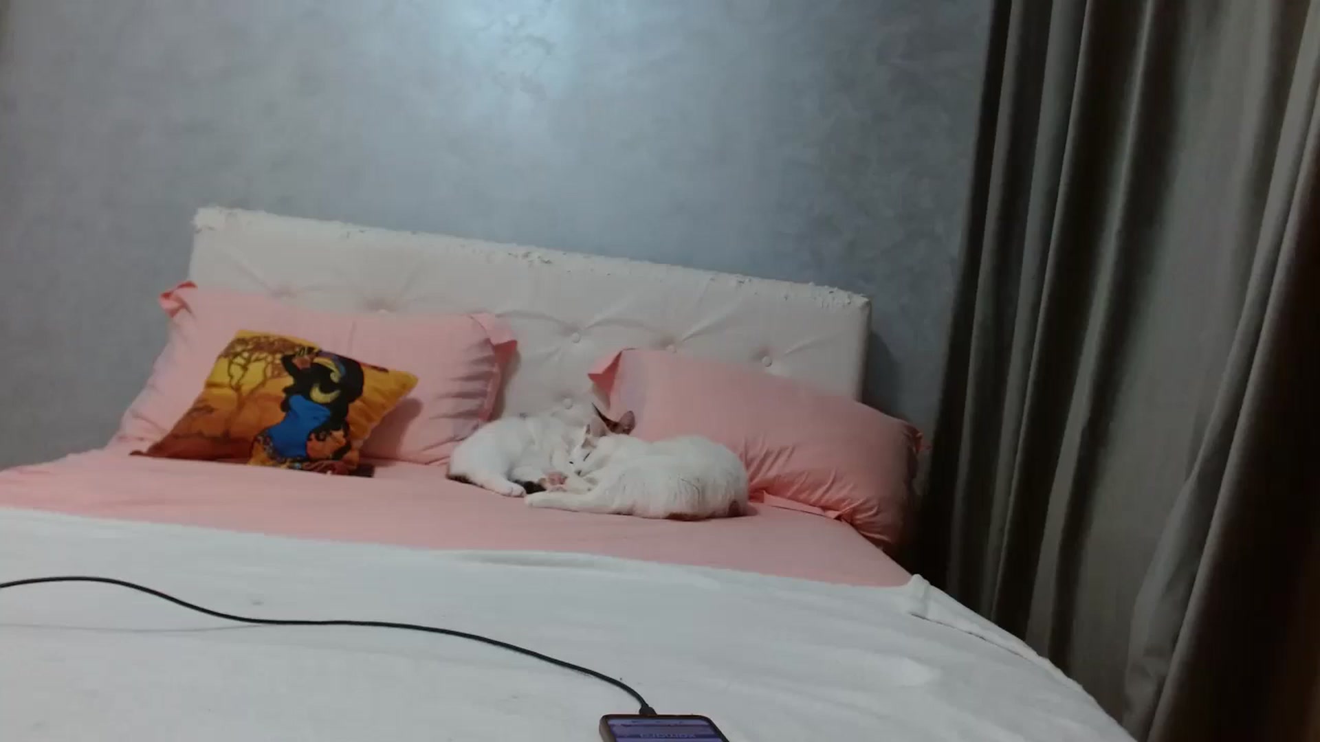 Gallery image thumbnail from Aahh_Emilia's myfreecams stream on, 01/08/2026, 17:40 image 16 of 20