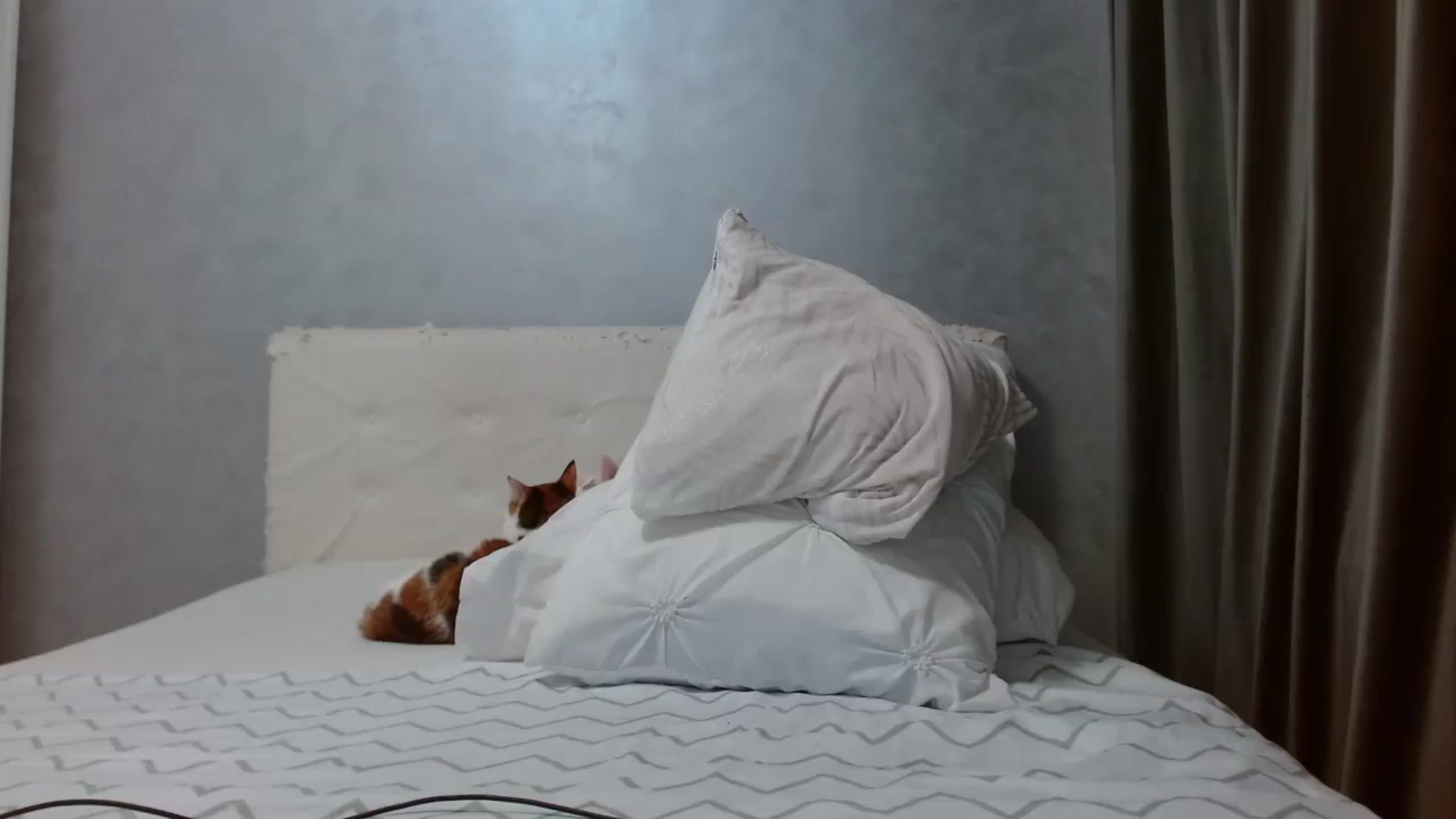 Gallery image thumbnail from Aahh_Emilia's myfreecams stream on, 01/17/2026, 19:16 image 15 of 20