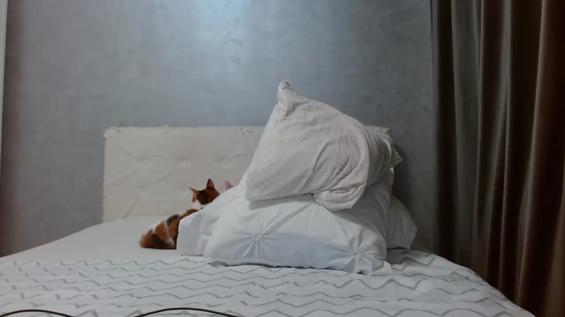 Gallery image thumbnail from Aahh_Emilia's myfreecams stream on, 01/17/2026, 19:16 image 13 of 20