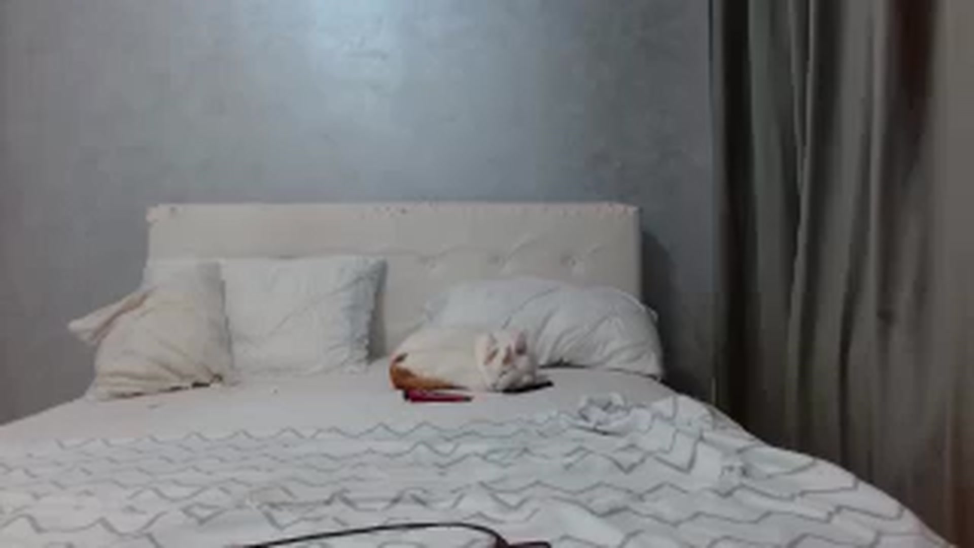 Gallery image thumbnail from Aahh_Emilia's myfreecams stream on, 01/21/2026, 17:53 image 20 of 20