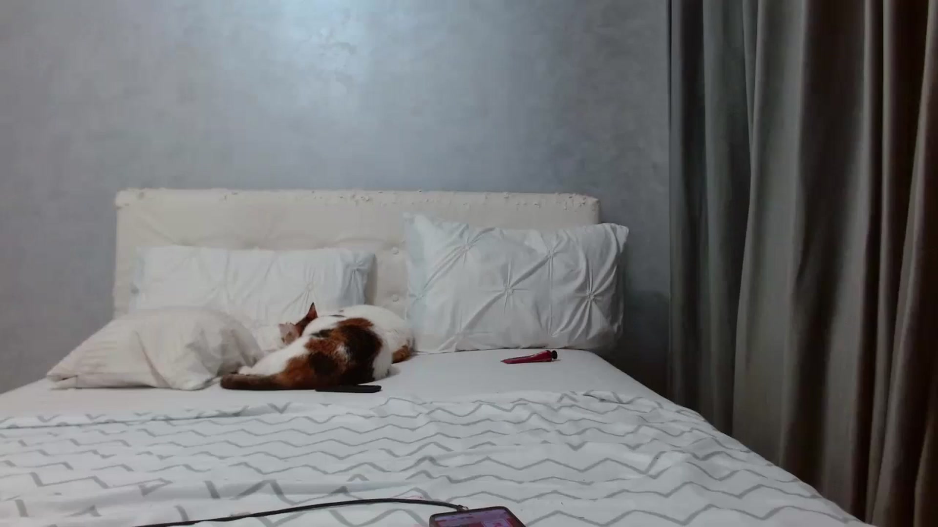 Gallery image thumbnail from Aahh_Emilia's myfreecams stream on, 01/22/2026, 17:31 image 17 of 20