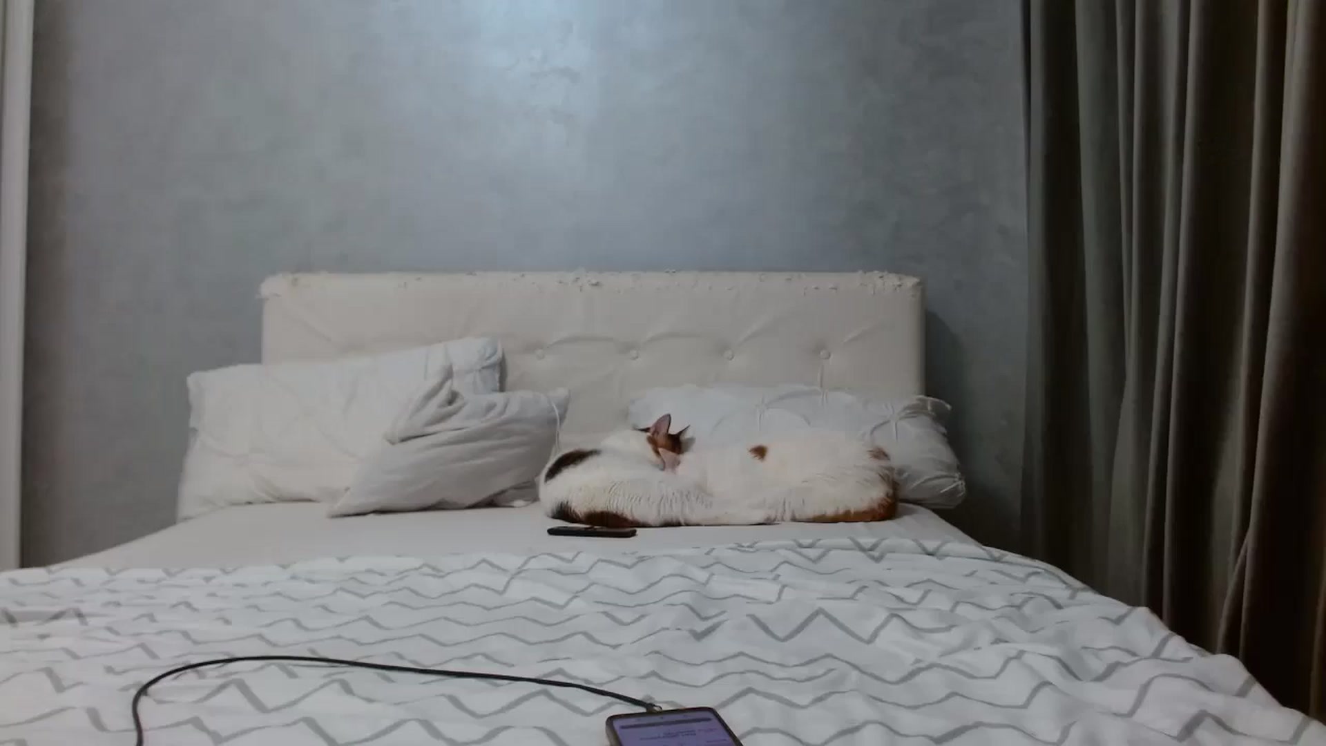 Gallery image thumbnail from Aahh_Emilia's myfreecams stream on, 01/25/2026, 17:18 image 17 of 20