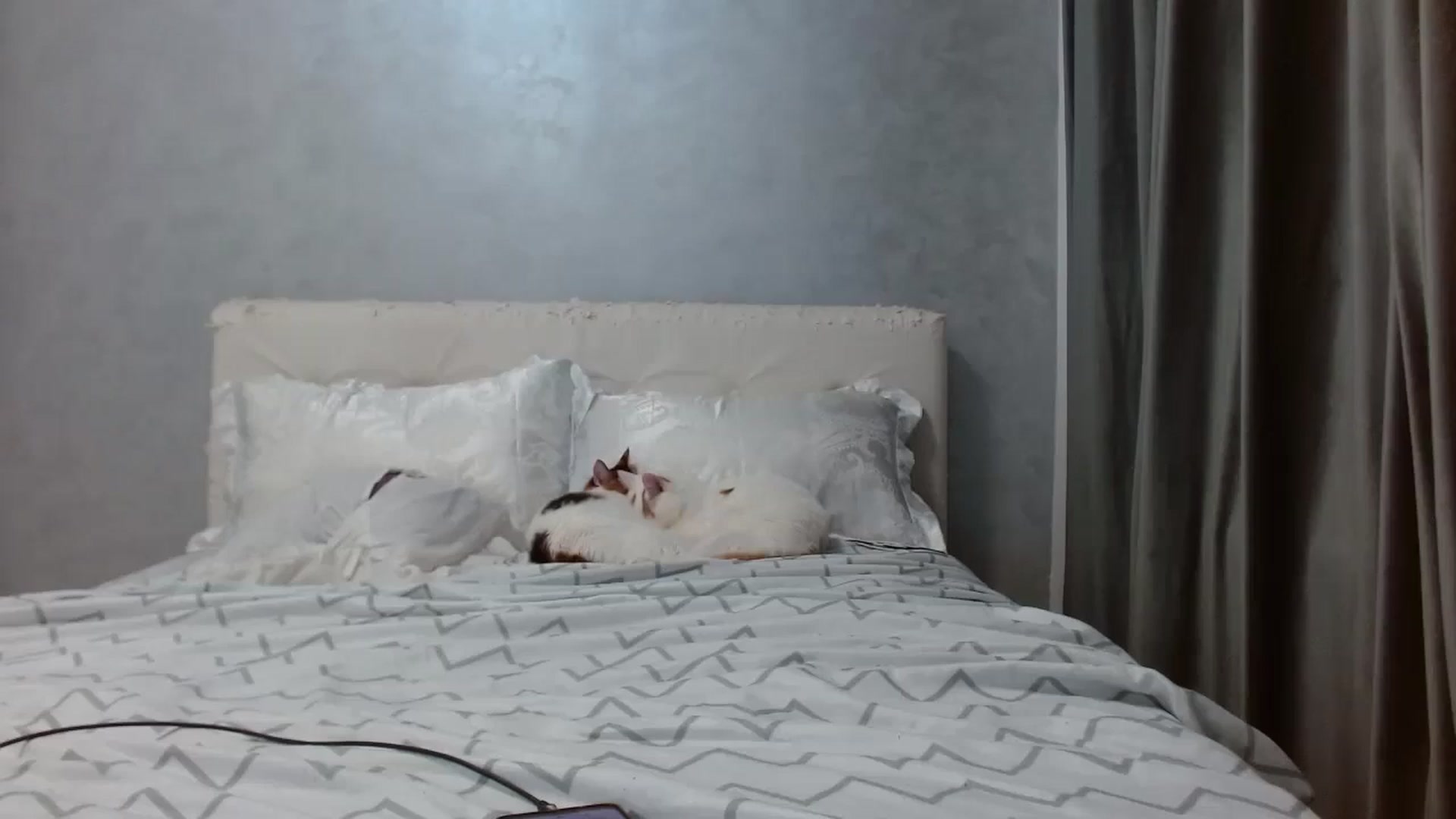Gallery image thumbnail from Aahh_Emilia's myfreecams stream on, 01/26/2026, 18:02 image 19 of 20