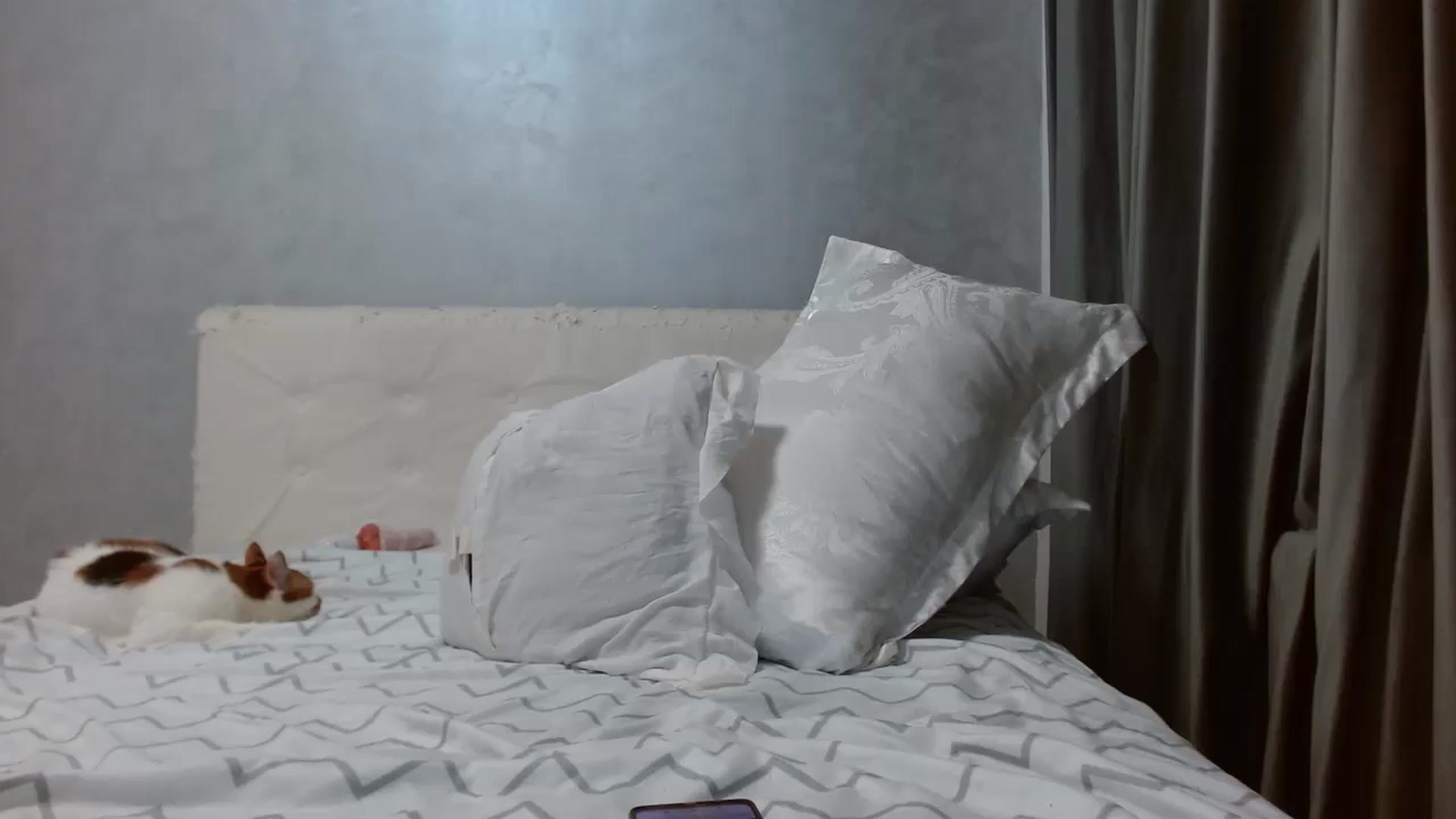 Gallery image thumbnail from Aahh_Emilia's myfreecams stream on, 01/26/2026, 19:24 image 16 of 20