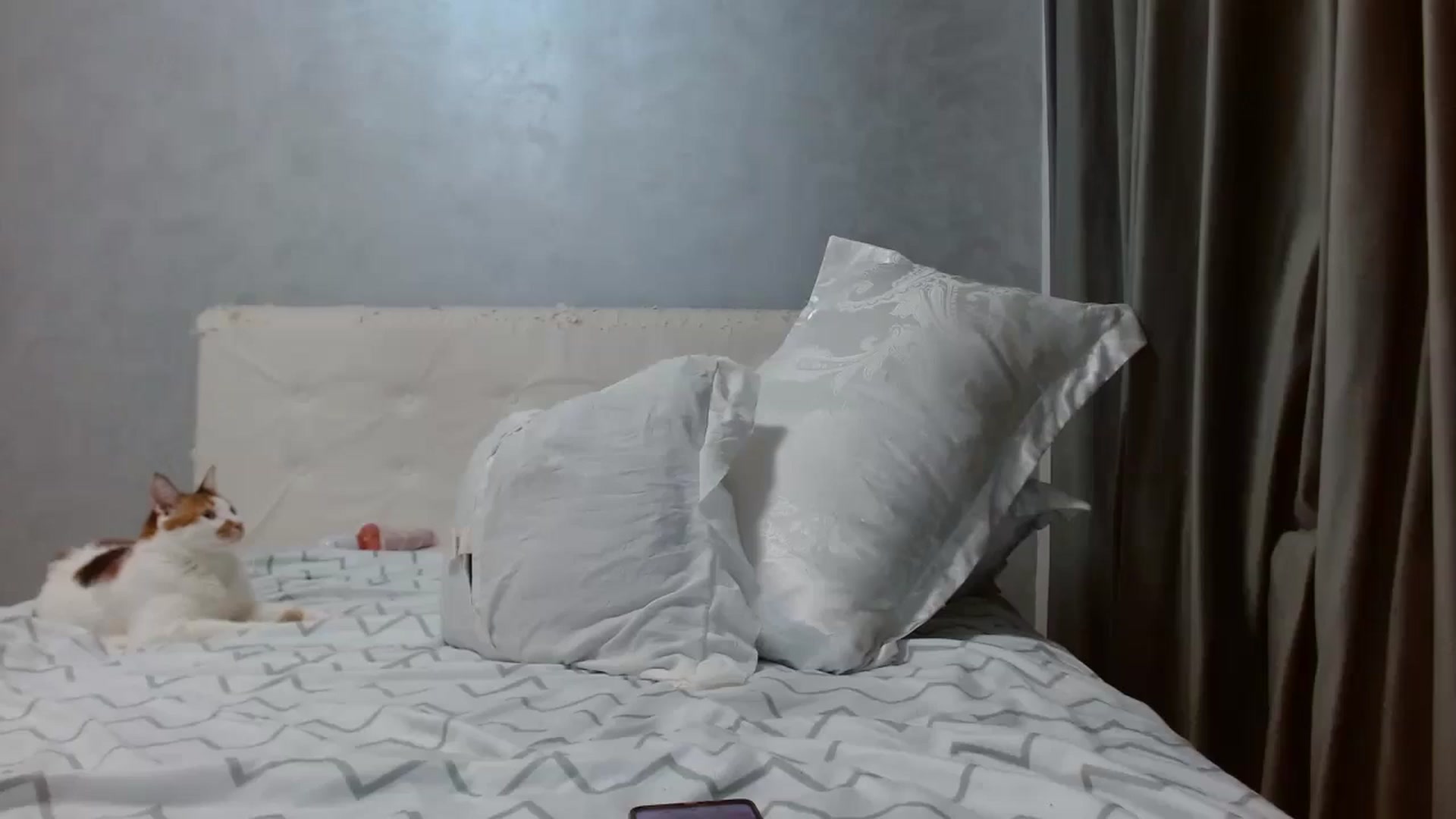 Gallery image thumbnail from Aahh_Emilia's myfreecams stream on, 01/26/2026, 19:24 image 17 of 20