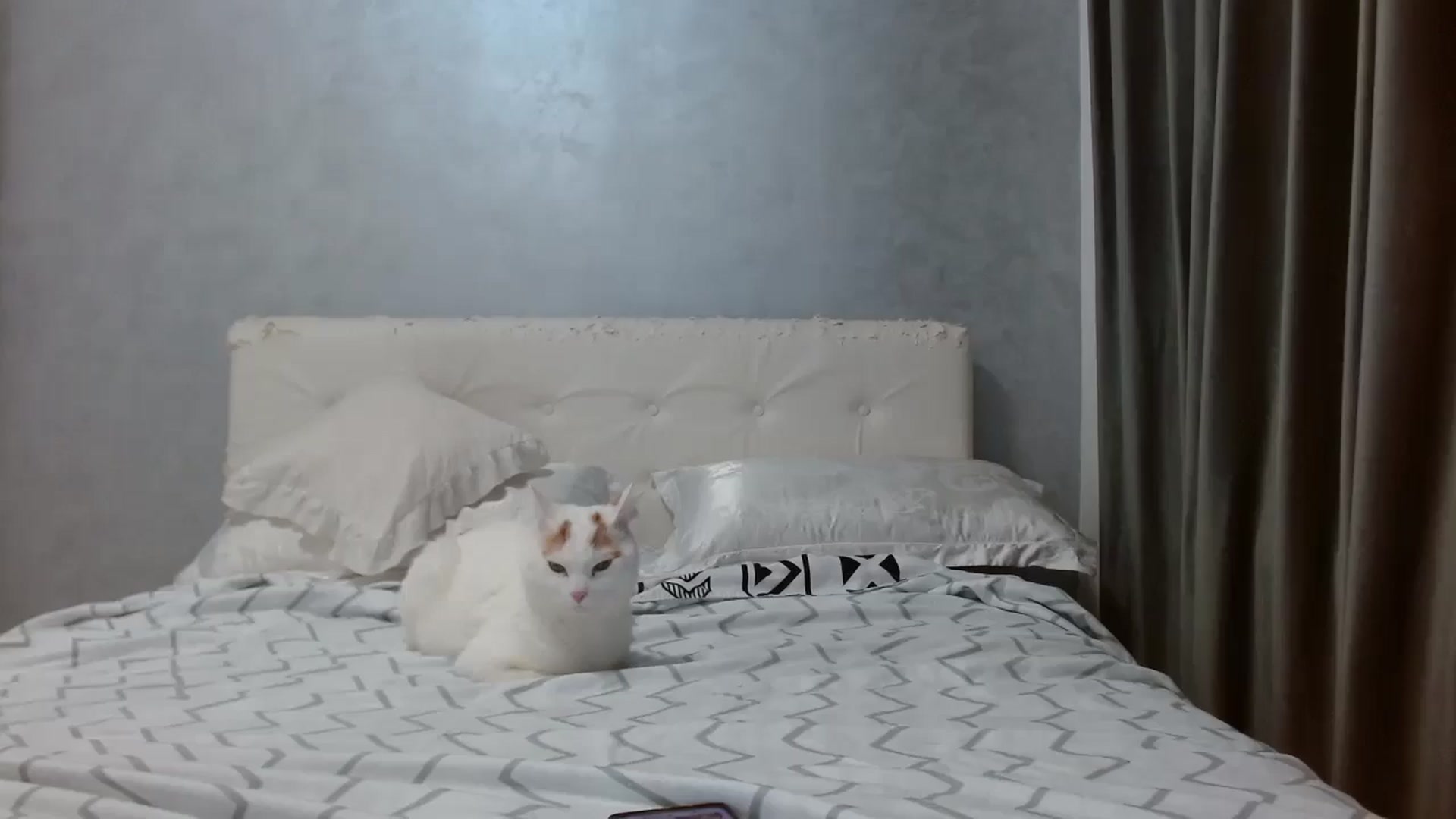 Gallery image thumbnail from Aahh_Emilia's myfreecams stream on, 02/03/2026, 17:12 image 19 of 20