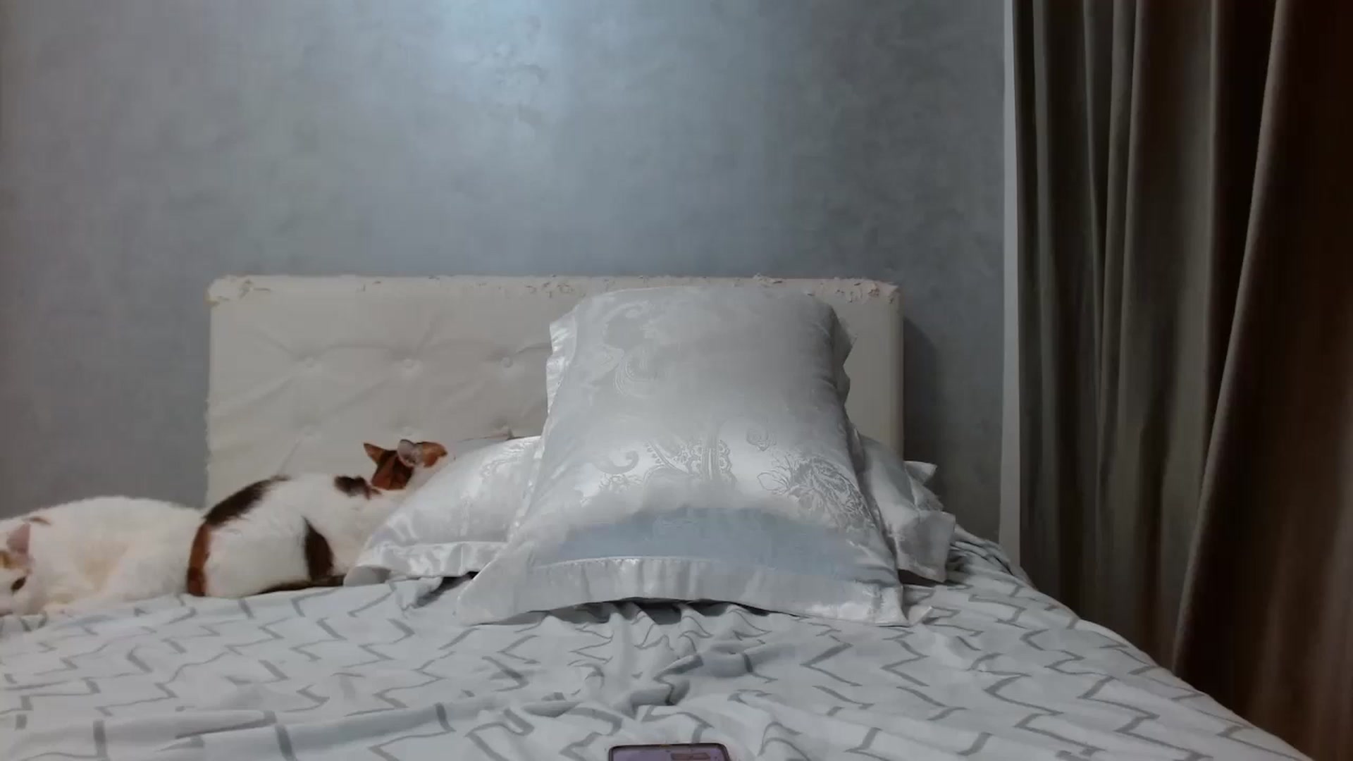 Gallery image thumbnail from Aahh_Emilia's myfreecams stream on, 02/03/2026, 18:34 image 17 of 20