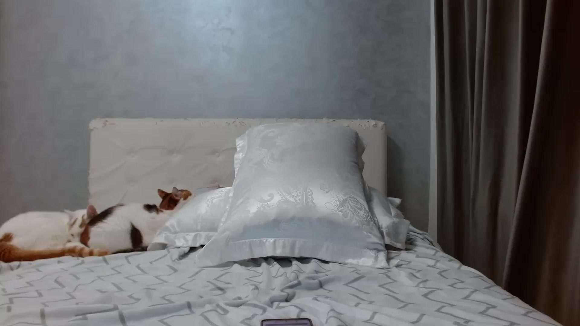 Gallery image thumbnail from Aahh_Emilia's myfreecams stream on, 02/03/2026, 18:34 image 19 of 20