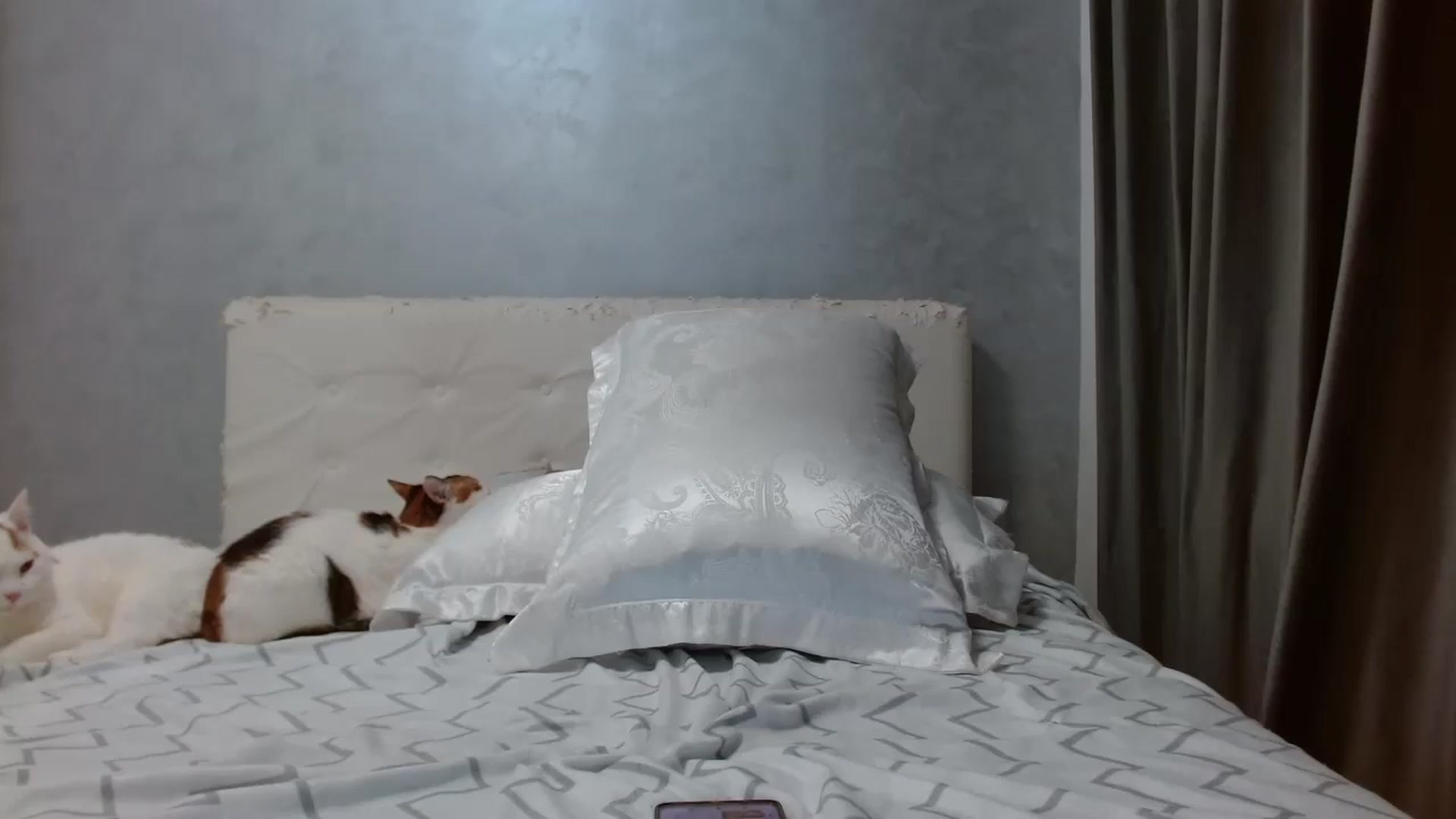 Gallery image thumbnail from Aahh_Emilia's myfreecams stream on, 02/03/2026, 18:34 image 16 of 20
