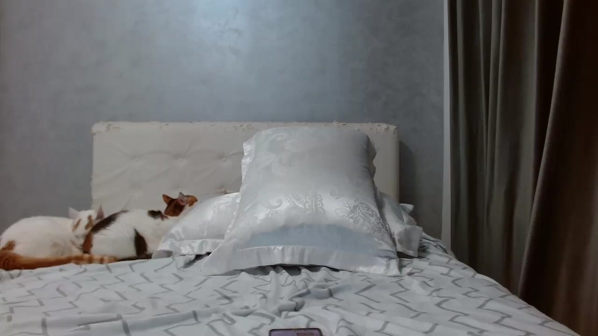 Gallery image thumbnail from Aahh_Emilia's myfreecams stream on, 02/03/2026, 18:34 image 18 of 20