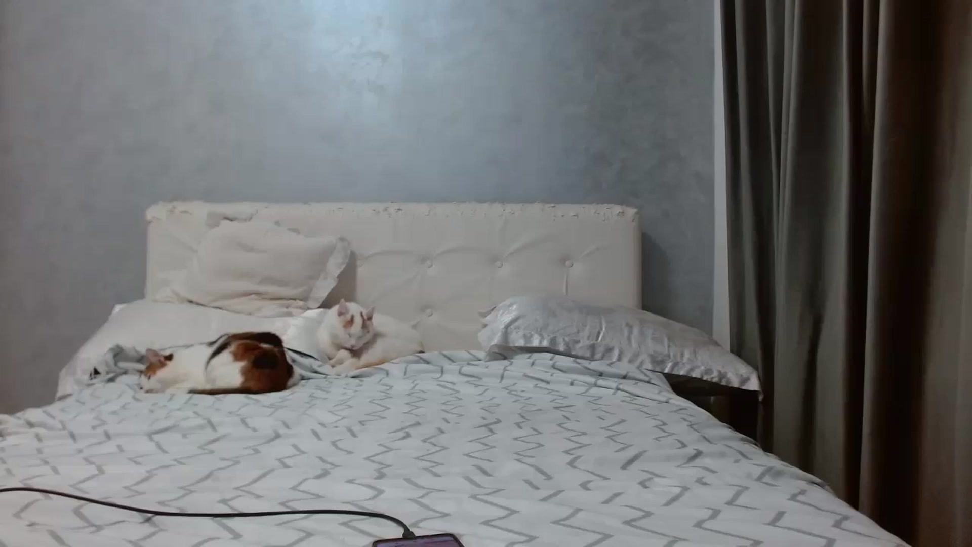 Gallery image thumbnail from Aahh_Emilia's myfreecams stream on, 02/04/2026, 17:57 image 19 of 20