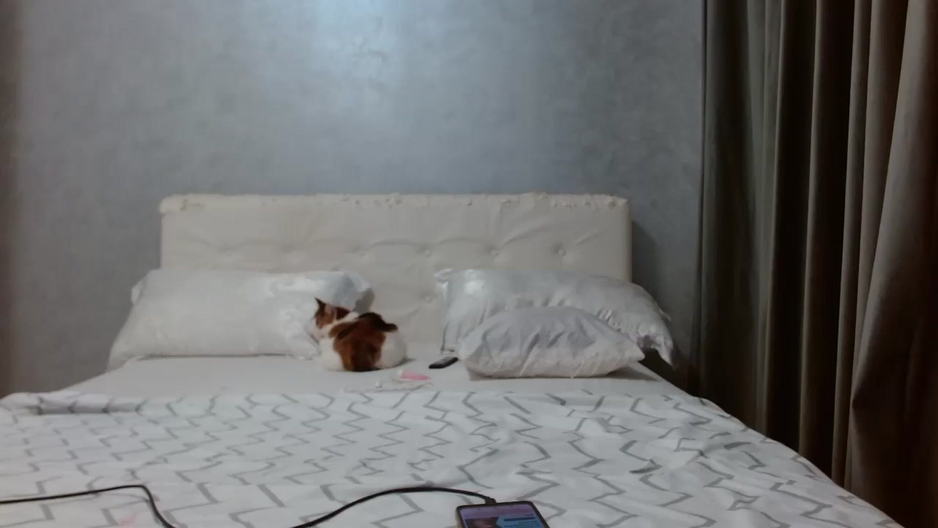 Gallery image thumbnail from Aahh_Emilia's myfreecams stream on, 02/26/2026, 17:56 image 18 of 20