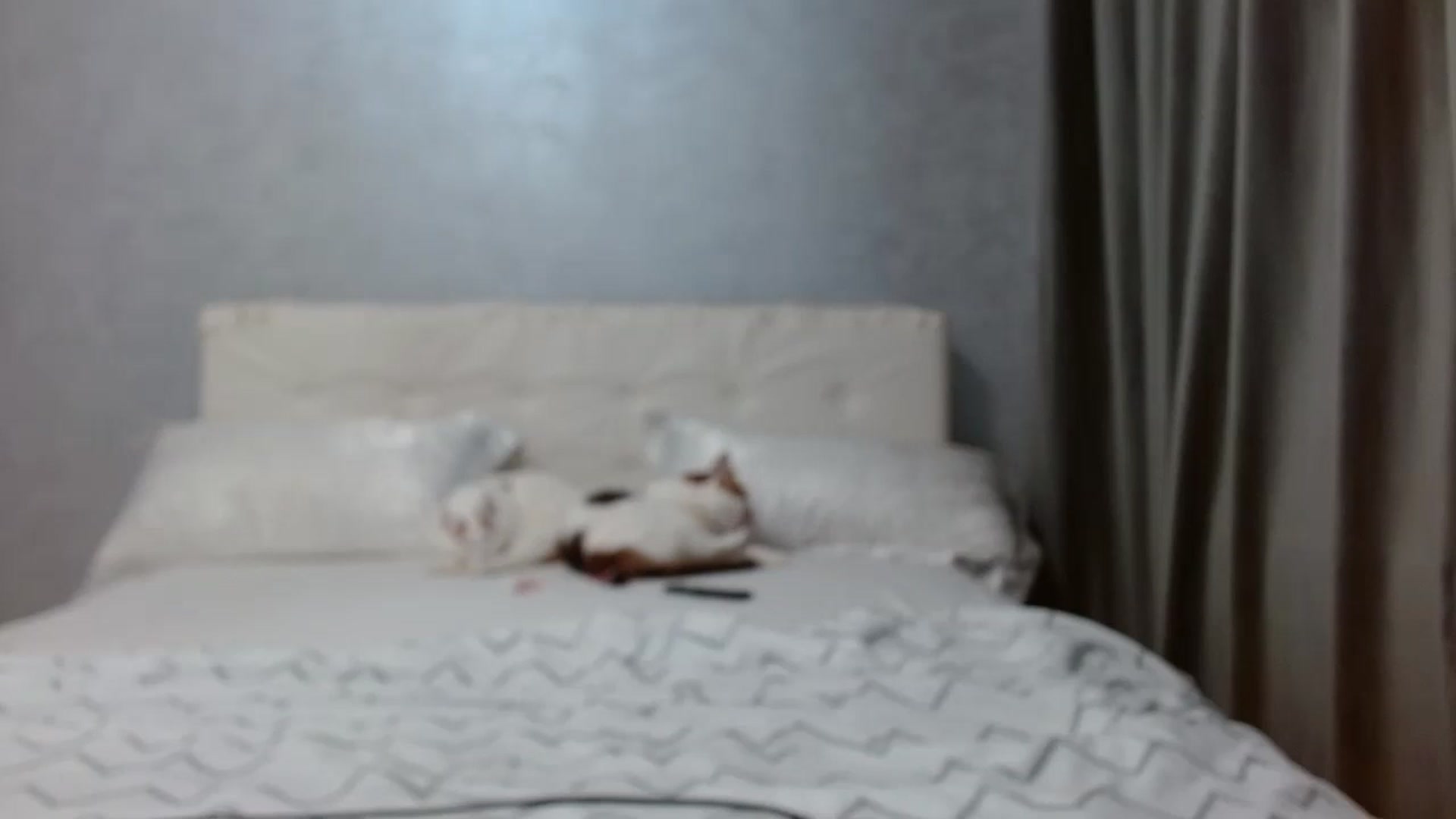 Gallery image thumbnail from Aahh_Emilia's myfreecams stream on, 03/03/2026, 18:19 image 14 of 20