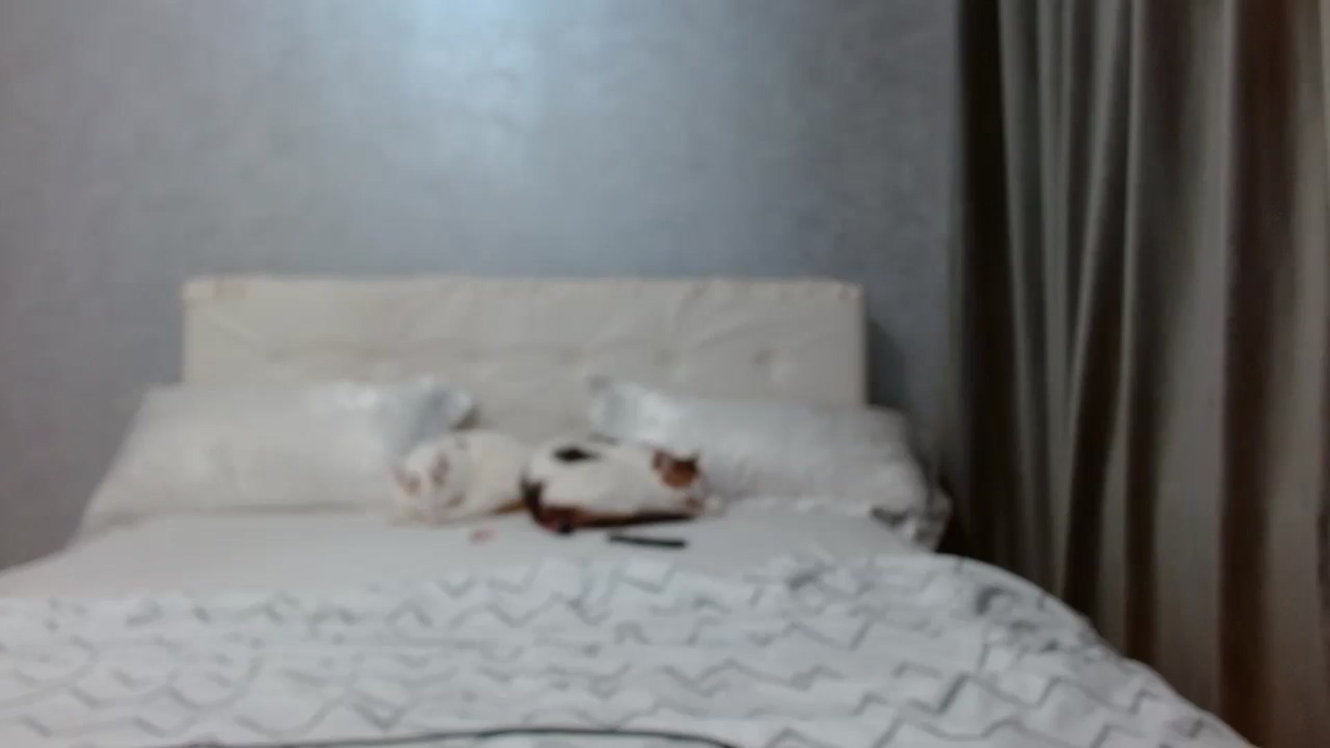 Gallery image thumbnail from Aahh_Emilia's myfreecams stream on, 03/03/2026, 18:19 image 12 of 20