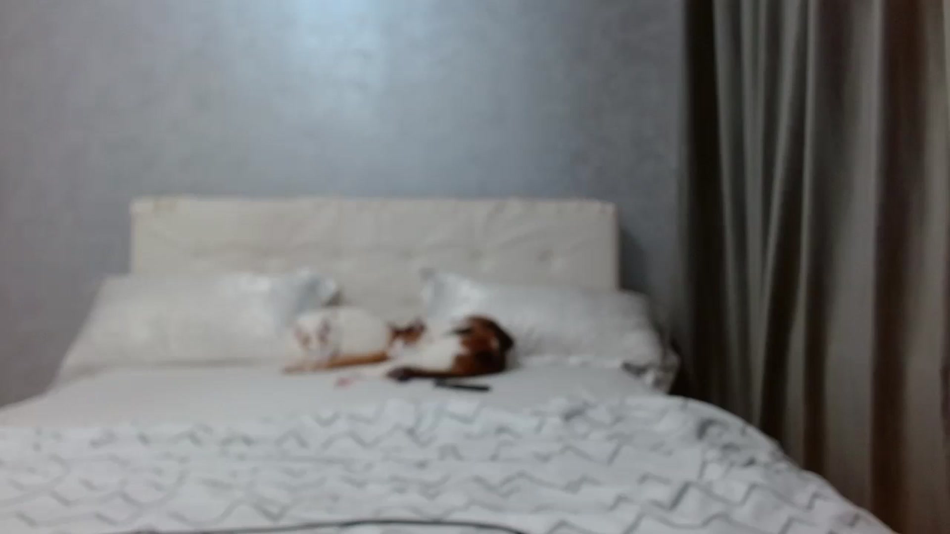 Gallery image thumbnail from Aahh_Emilia's myfreecams stream on, 03/03/2026, 18:19 image 9 of 20