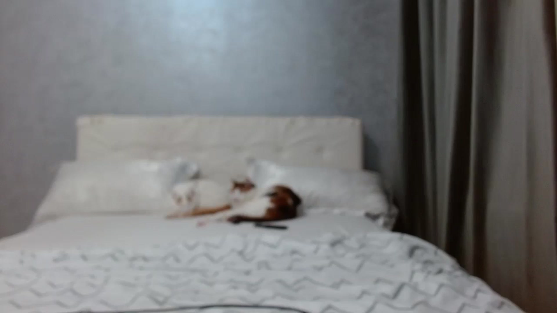 Gallery image thumbnail from Aahh_Emilia's myfreecams stream on, 03/03/2026, 18:19 image 8 of 20