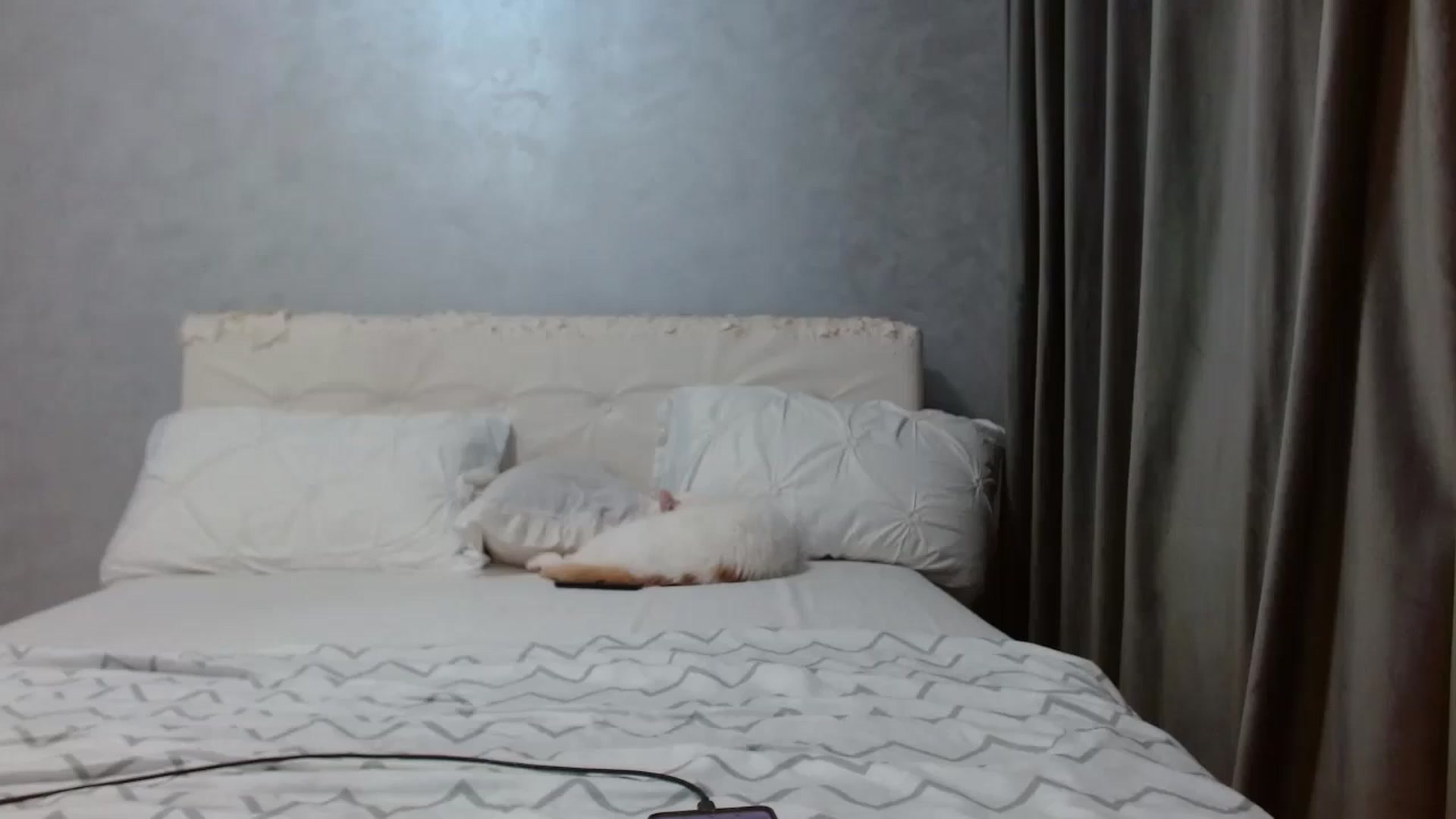Gallery image thumbnail from Aahh_Emilia's myfreecams stream on, 03/14/2026, 16:29 image 13 of 20