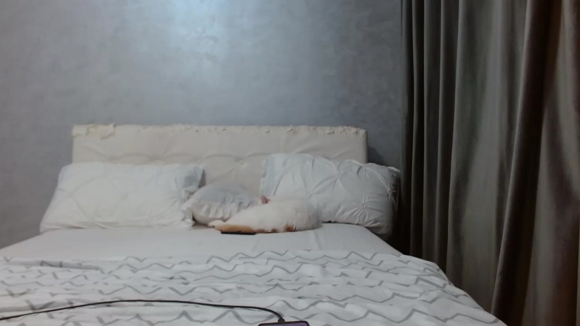 Gallery image thumbnail from Aahh_Emilia's myfreecams stream on, 03/14/2026, 16:29 image 14 of 20