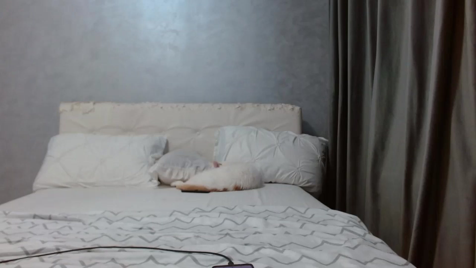 Gallery image thumbnail from Aahh_Emilia's myfreecams stream on, 03/14/2026, 16:29 image 16 of 20