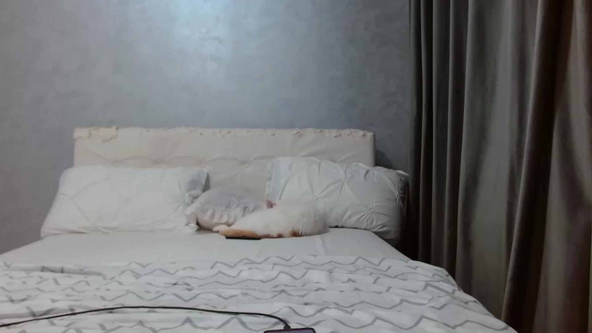 Gallery image thumbnail from Aahh_Emilia's myfreecams stream on, 03/14/2026, 16:29 image 15 of 20